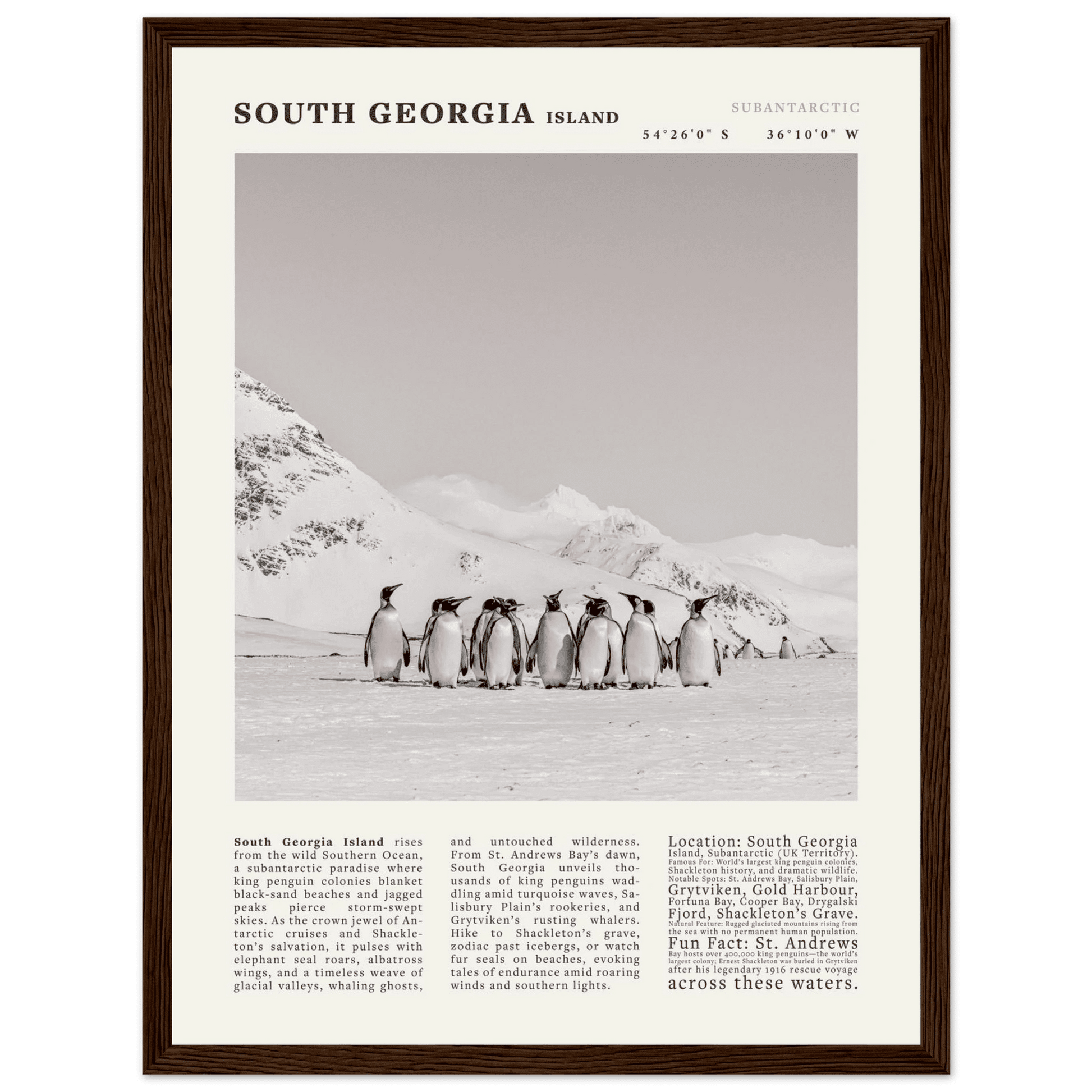 South Georgia Island Black and White Vintage Poster - Evergreen Posters
