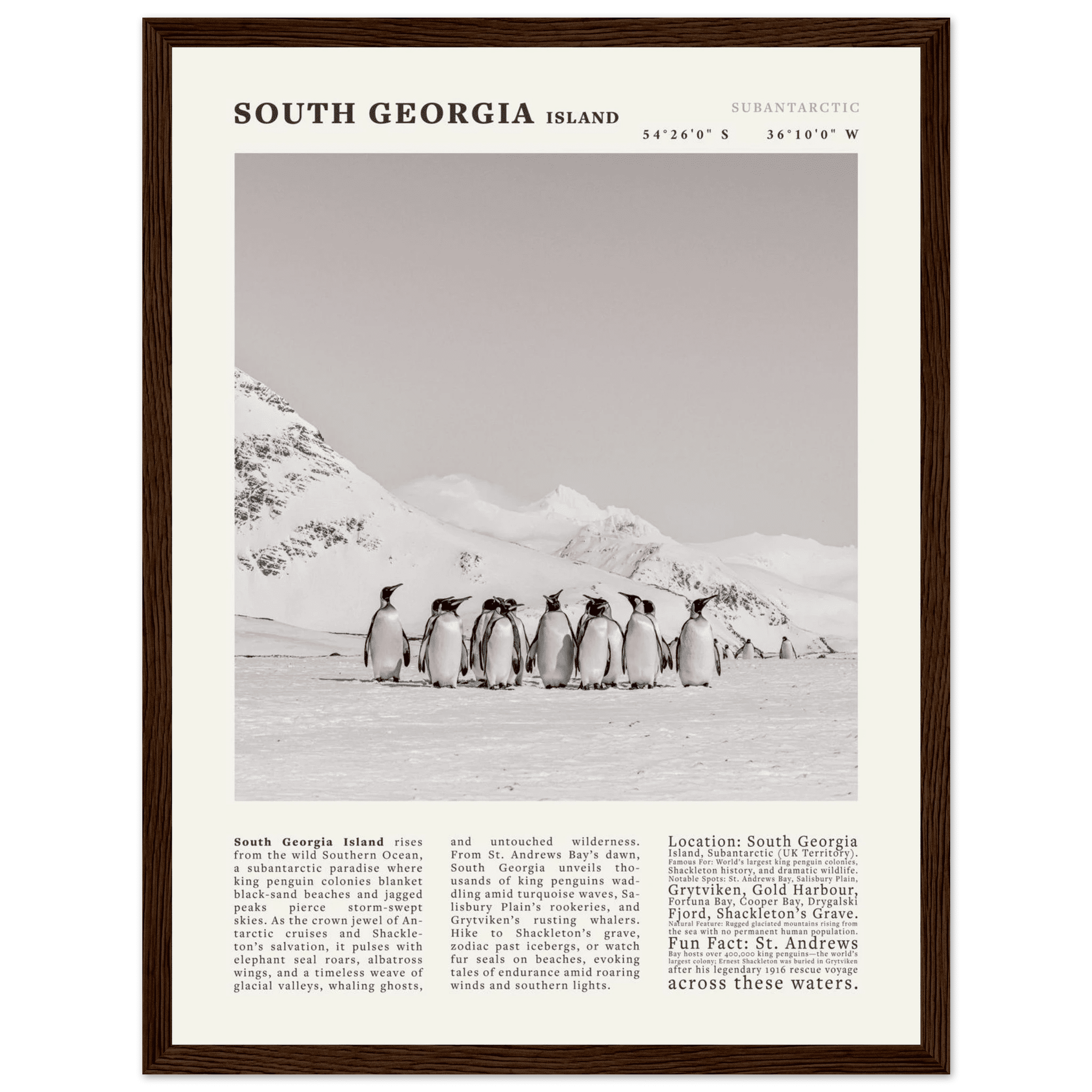 South Georgia Island Black and White Vintage Poster - Evergreen Posters