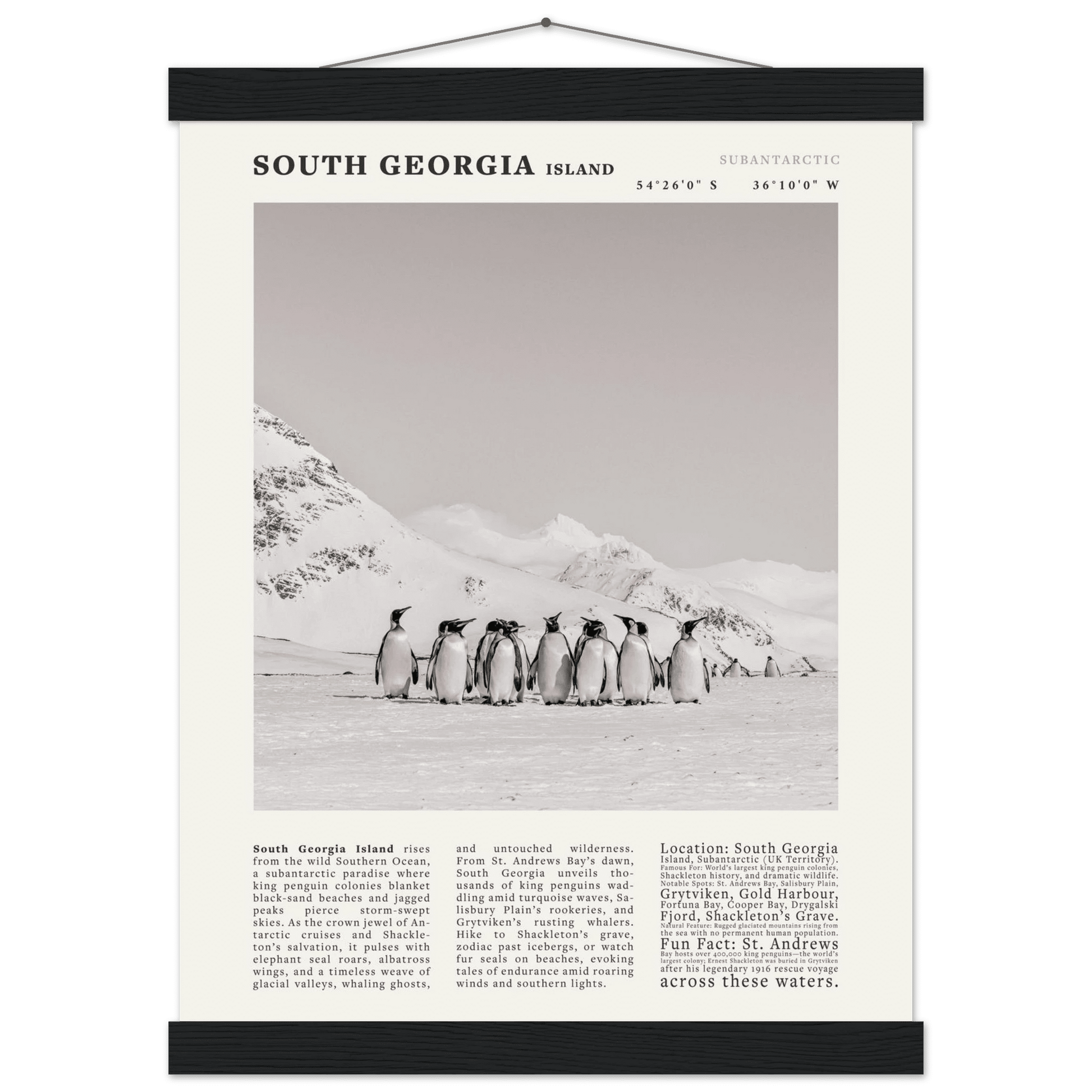 South Georgia Island Black and White Vintage Poster - Evergreen Posters