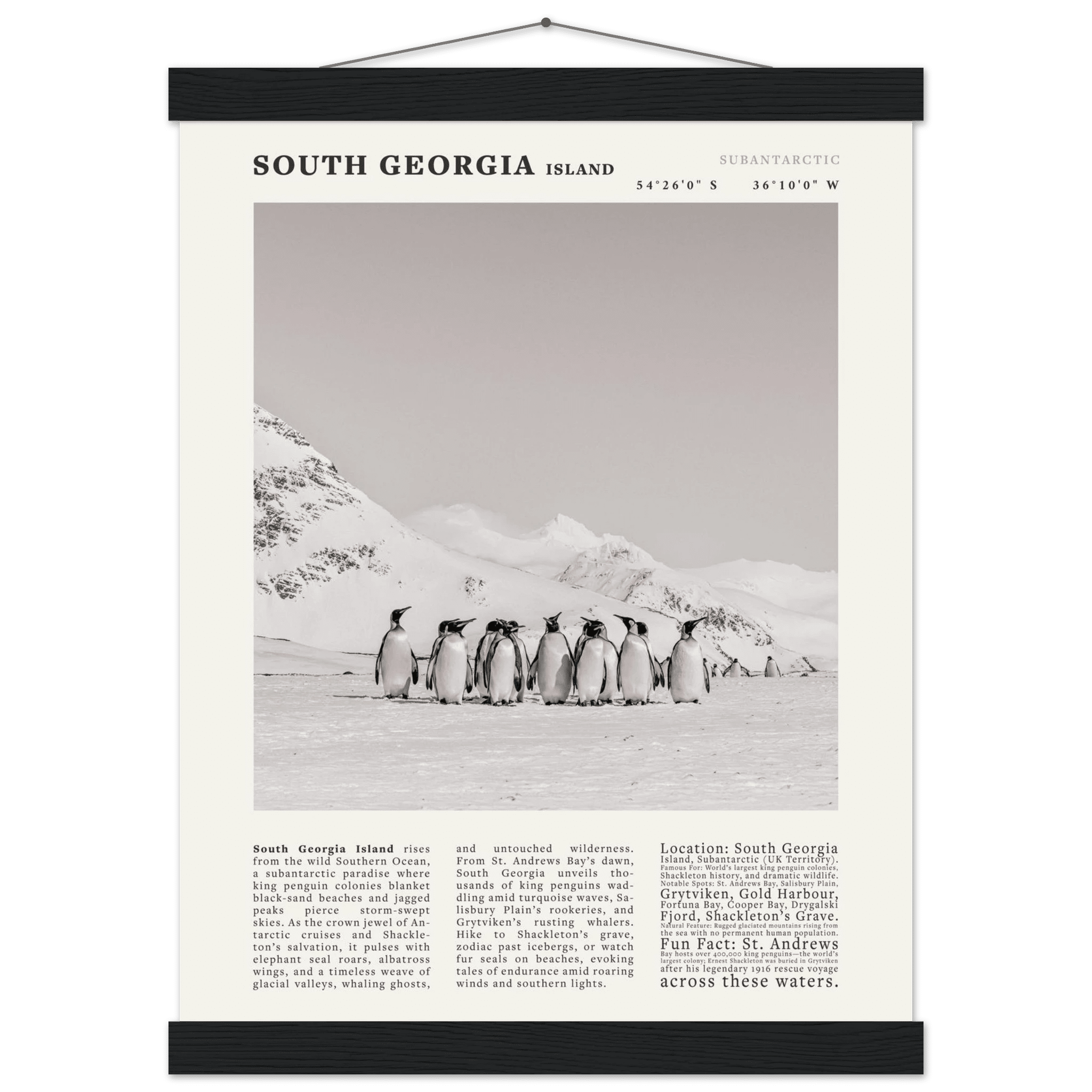 South Georgia Island Black and White Vintage Poster - Evergreen Posters