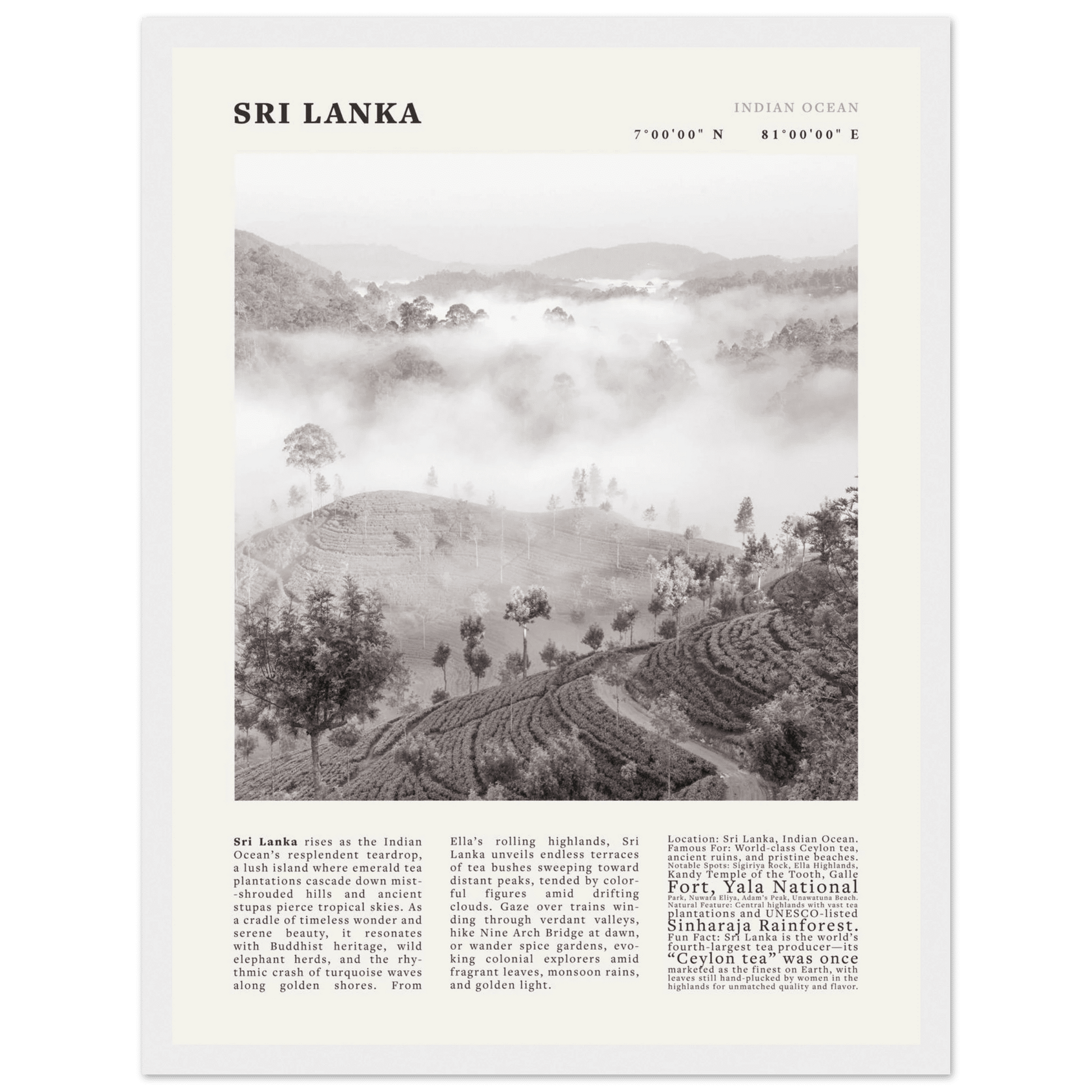 Sri Lanka Poster Black and White – Vintage Ceylon Tea Plantation Print (Digital & Printed Options) - Evergreen Posters