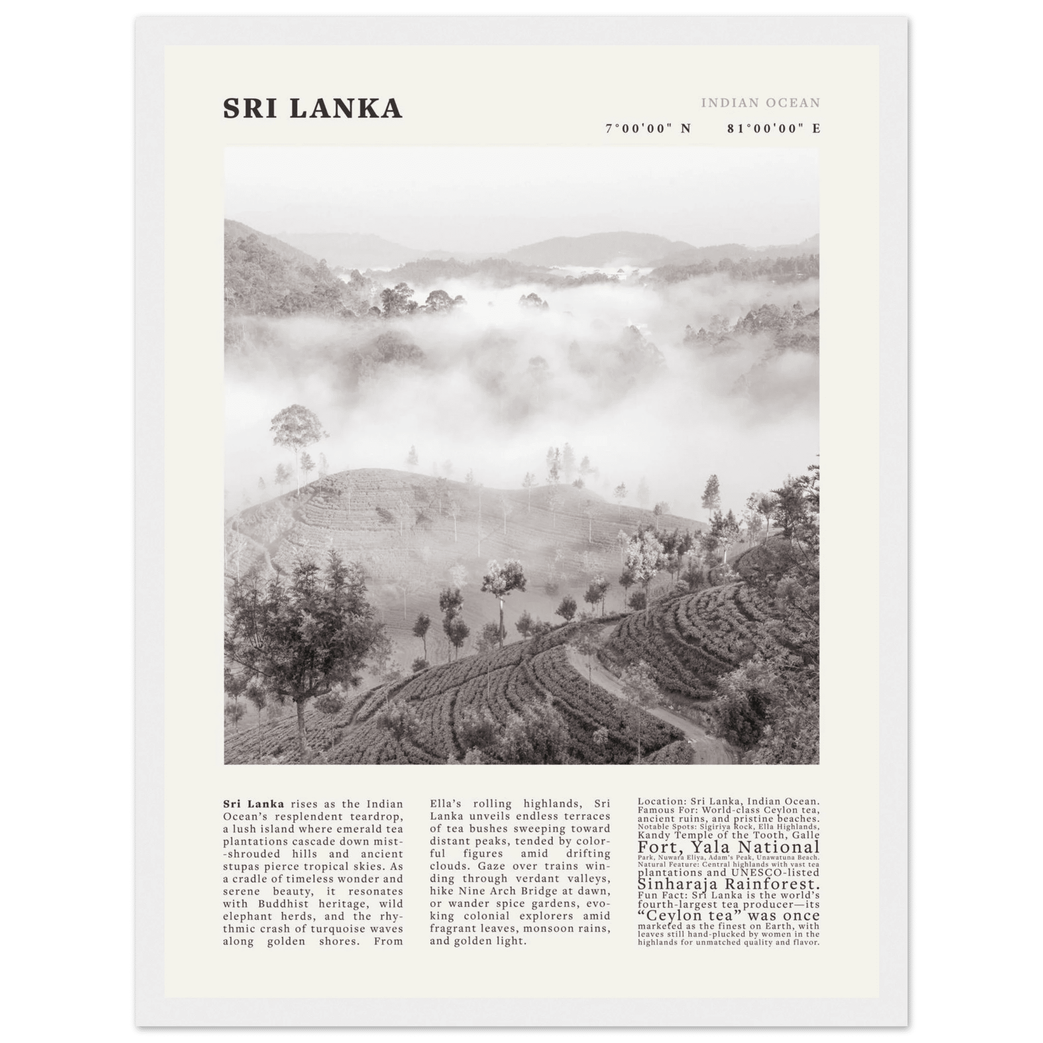 Sri Lanka Poster Black and White – Vintage Ceylon Tea Plantation Print (Digital & Printed Options) - Evergreen Posters