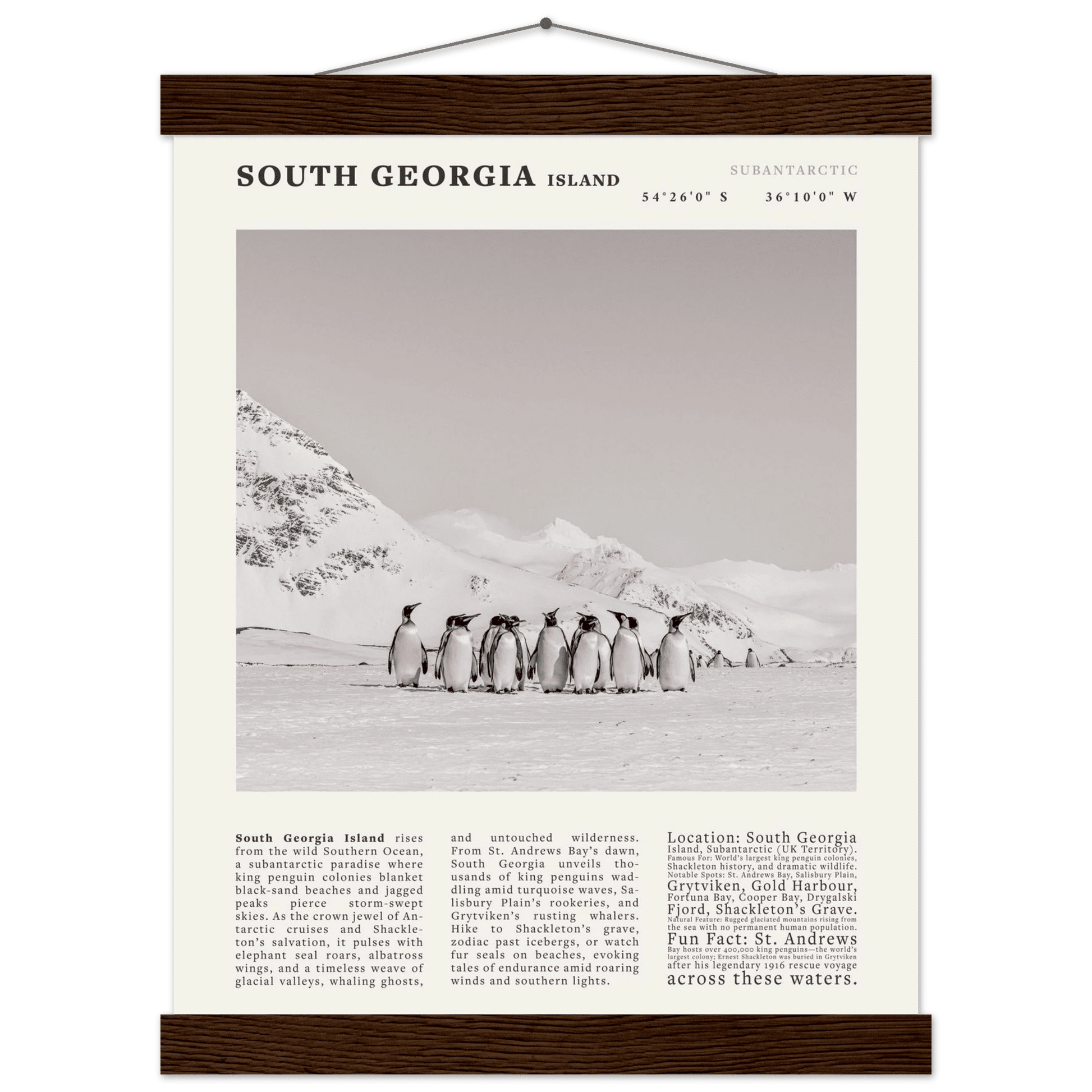 South Georgia Island Black and White Vintage Poster - Evergreen Posters