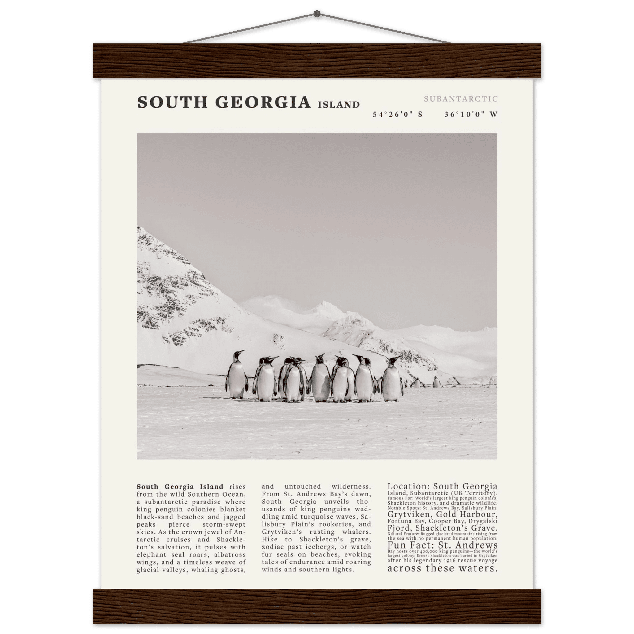 South Georgia Island Black and White Vintage Poster - Evergreen Posters