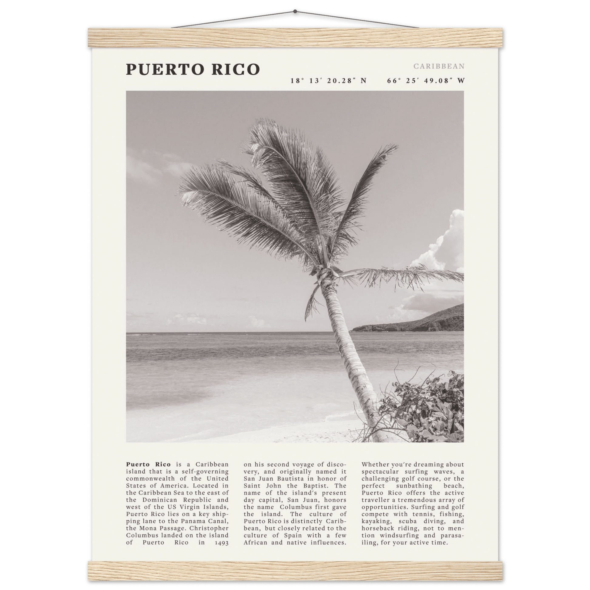 Puerto Rico Poster Black and White – Vintage Caribbean Palm Beach Print (Digital & Printed Options) - Evergreen Posters