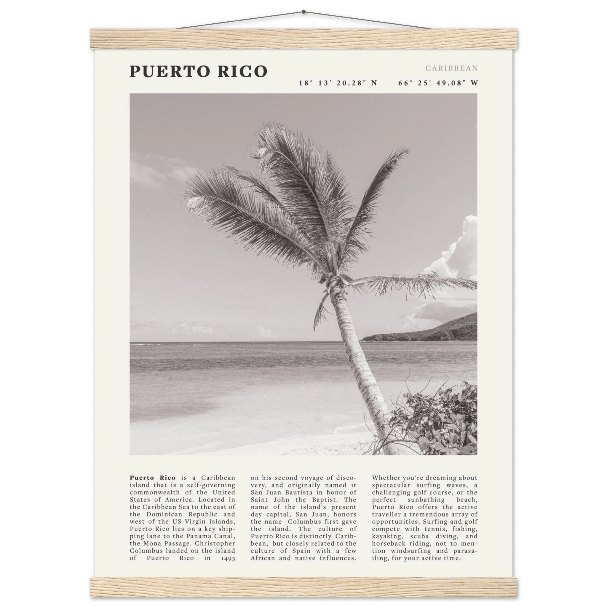 Puerto Rico Poster Black and White – Vintage Caribbean Palm Beach Print (Digital & Printed Options) - Evergreen Posters