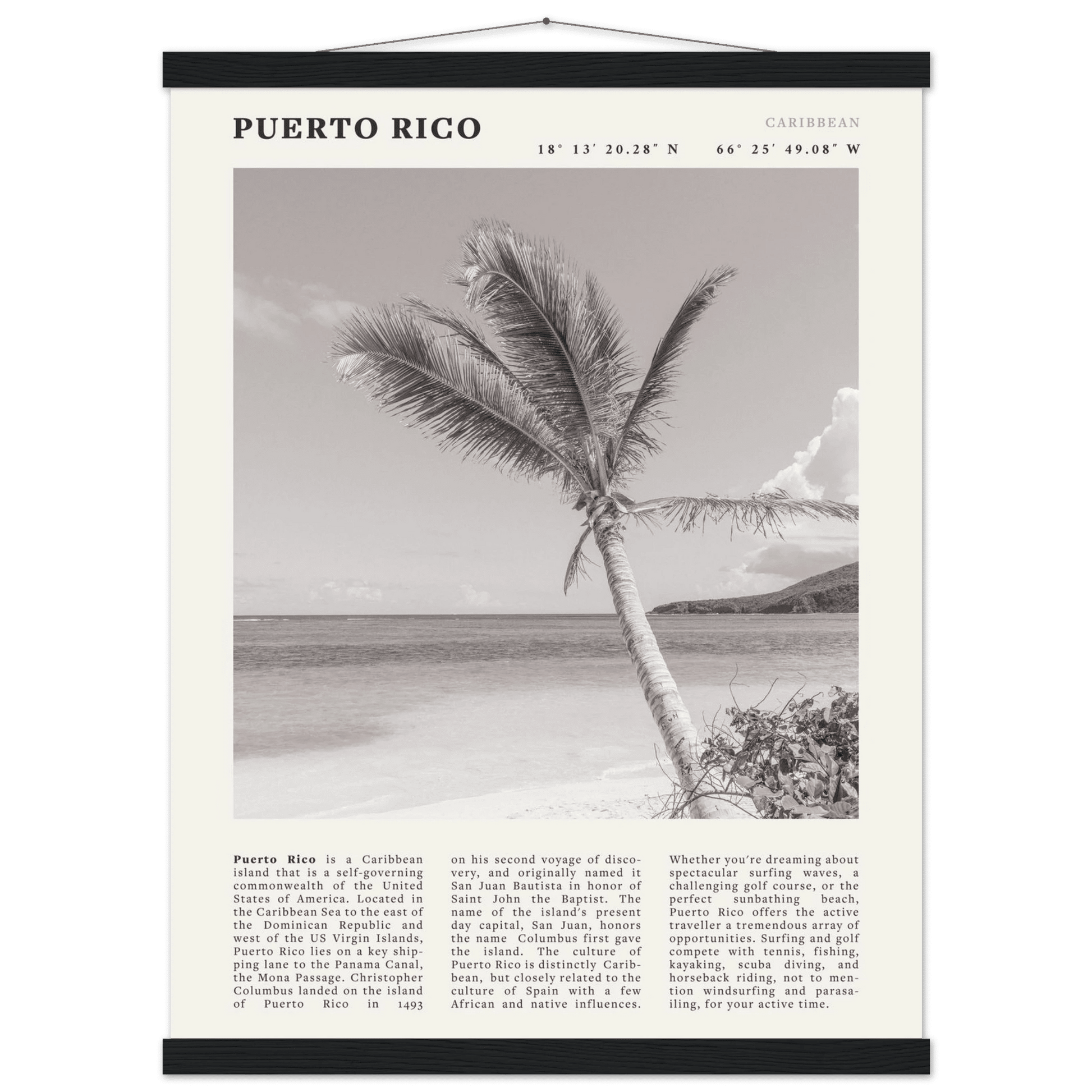 Puerto Rico Poster Black and White – Vintage Caribbean Palm Beach Print (Digital & Printed Options) - Evergreen Posters