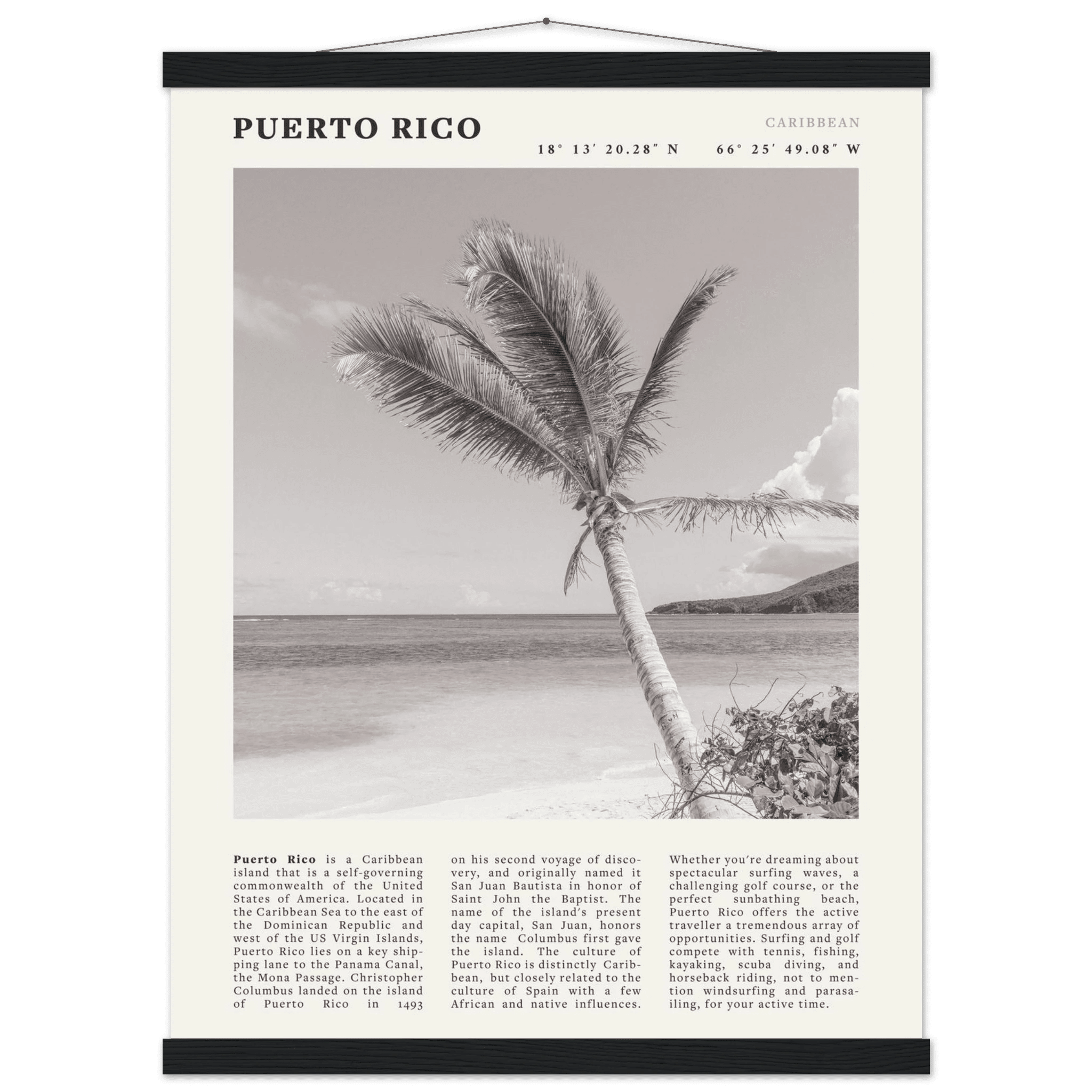Puerto Rico Poster Black and White – Vintage Caribbean Palm Beach Print (Digital & Printed Options) - Evergreen Posters