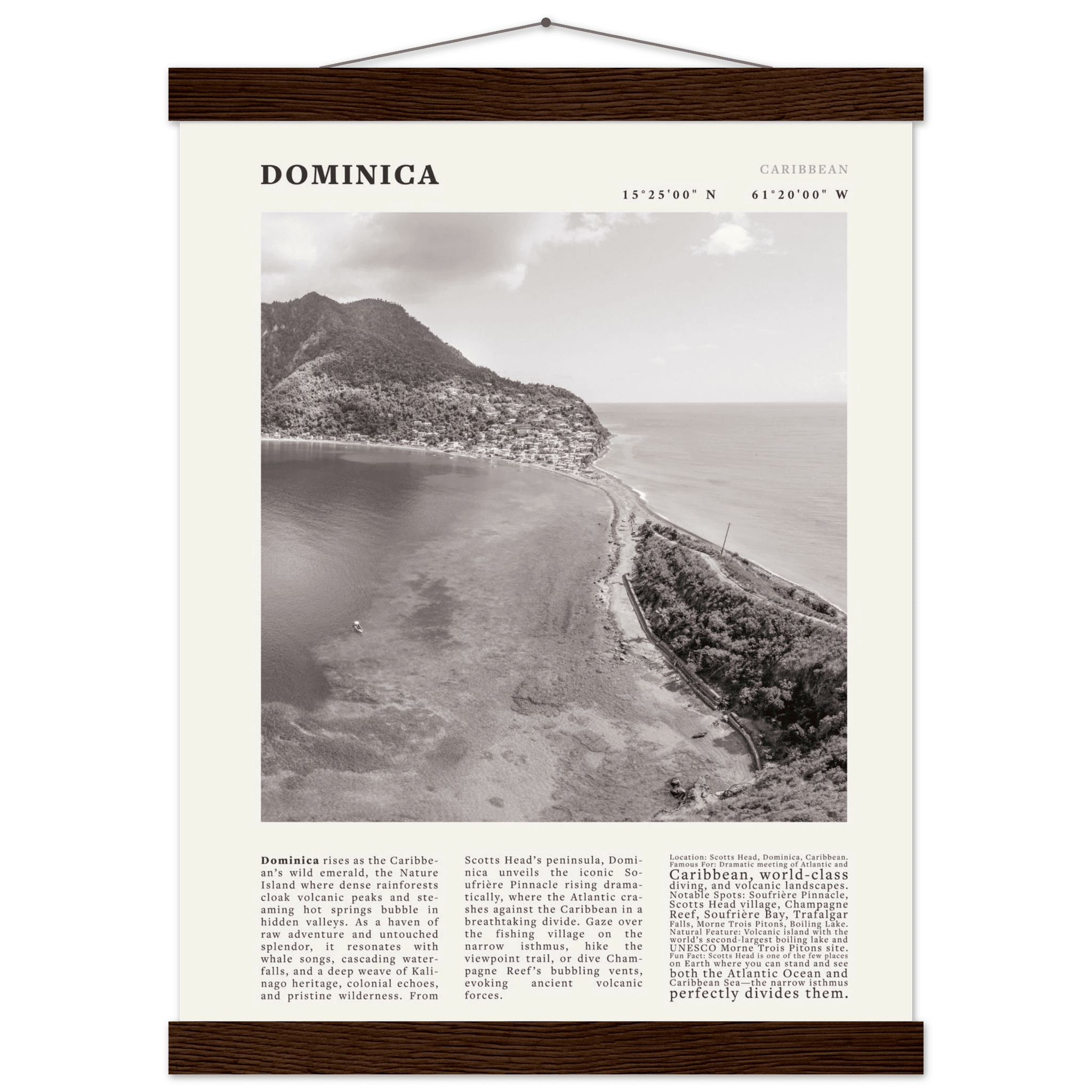 Dominica Poster Black and White – Vintage Caribbean Rainforest Island Print (Digital & Printed Options) - Evergreen Posters