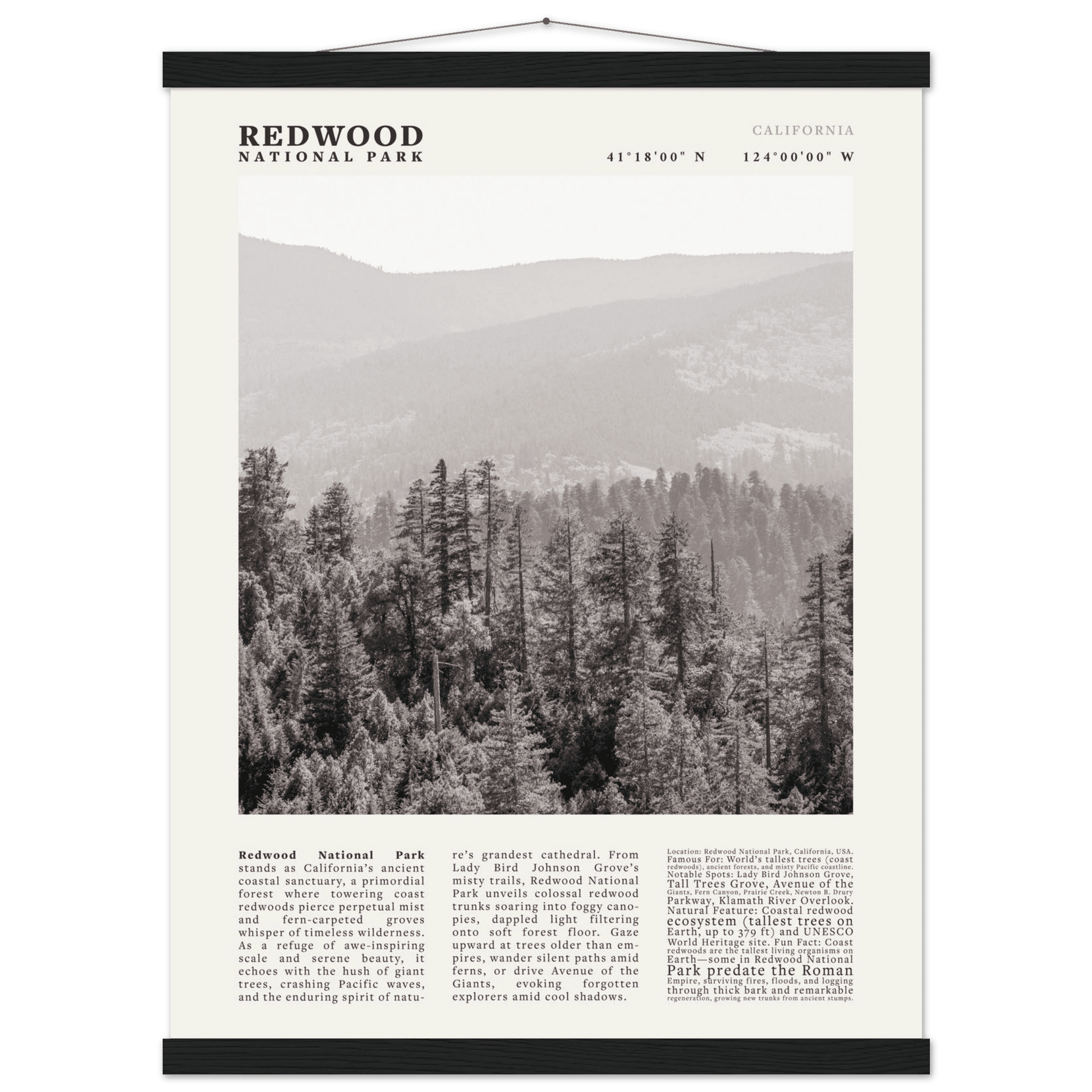 Redwood National Park Poster Black and White – Vintage Foggy Redwood Forest Print - Evergreen Posters