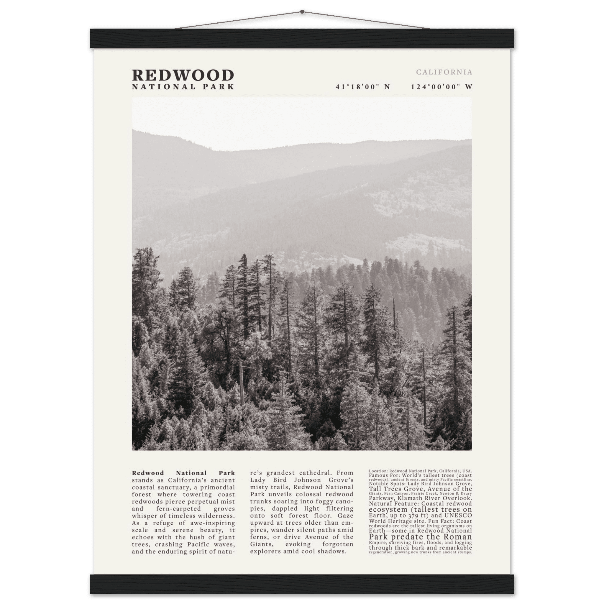 Redwood National Park Poster Black and White – Vintage Foggy Redwood Forest Print - Evergreen Posters