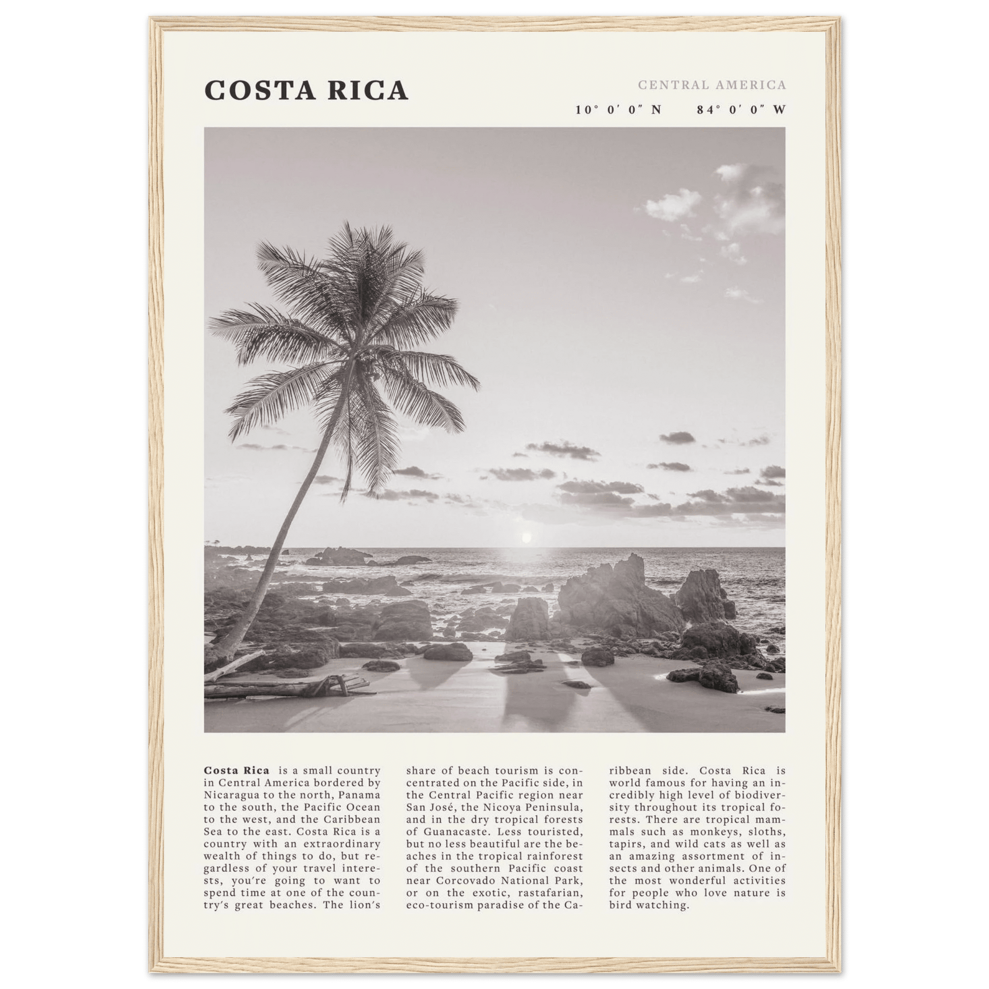 Costa Rica Poster | Black & White Palm Tree Beach Wall Art | Travel Print Decor - Evergreen Posters