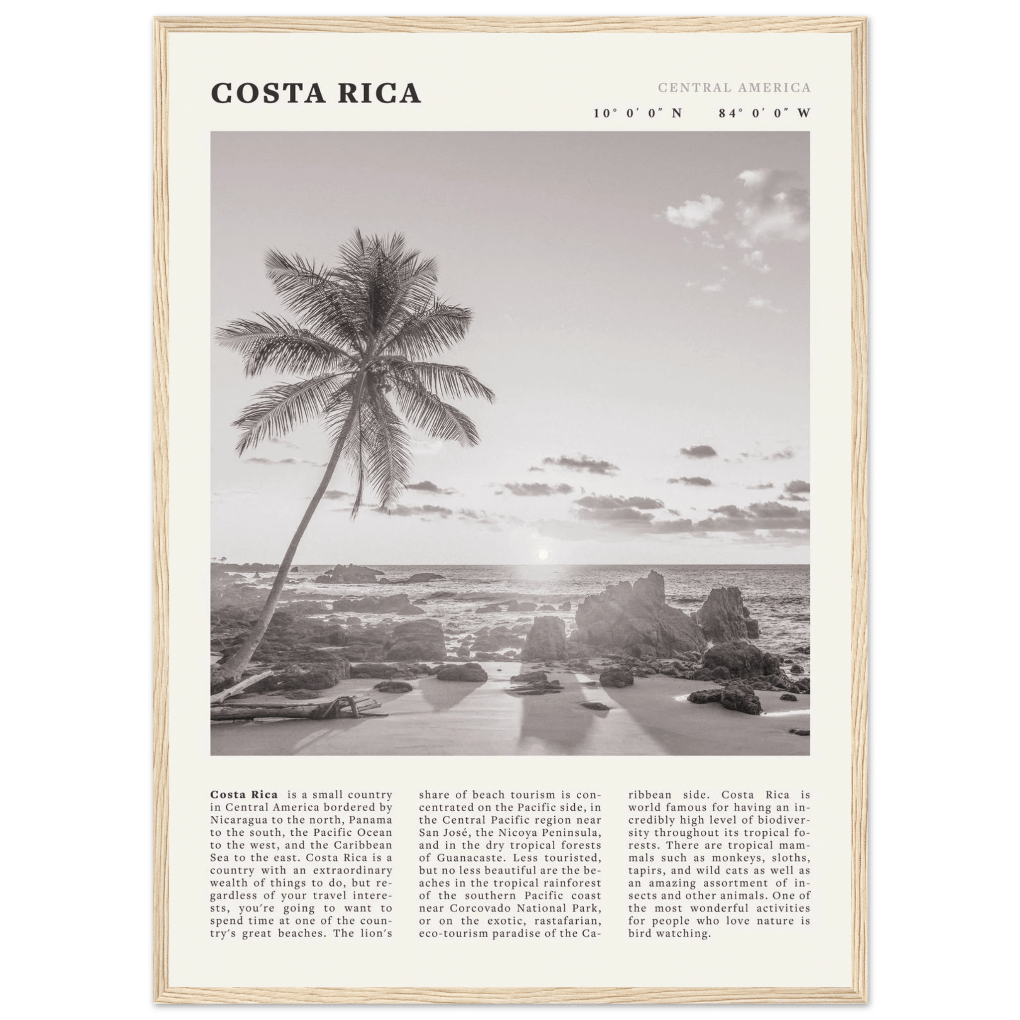 Costa Rica Poster | Black & White Palm Tree Beach Wall Art | Travel Print Decor - Evergreen Posters