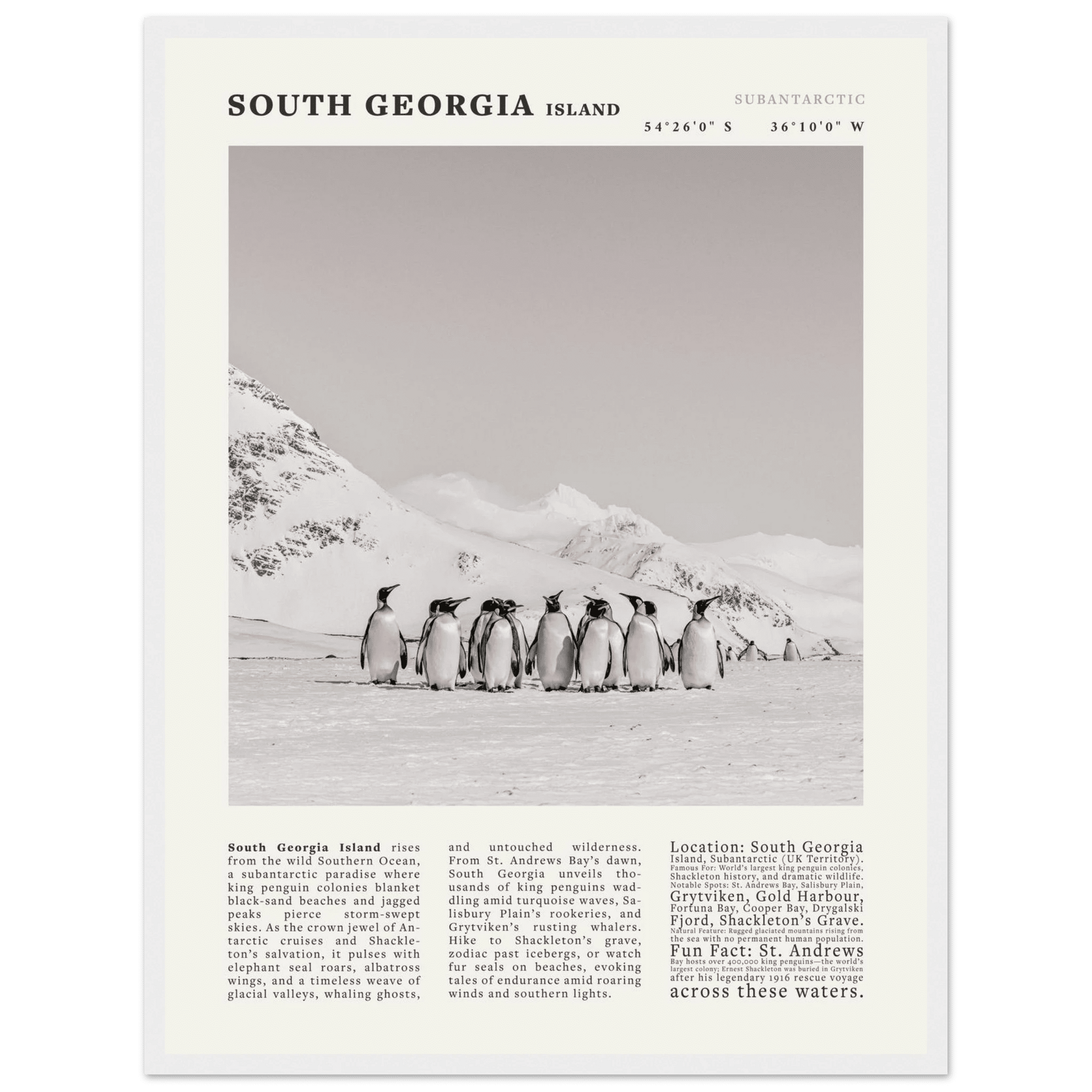 South Georgia Island Black and White Vintage Poster - Evergreen Posters
