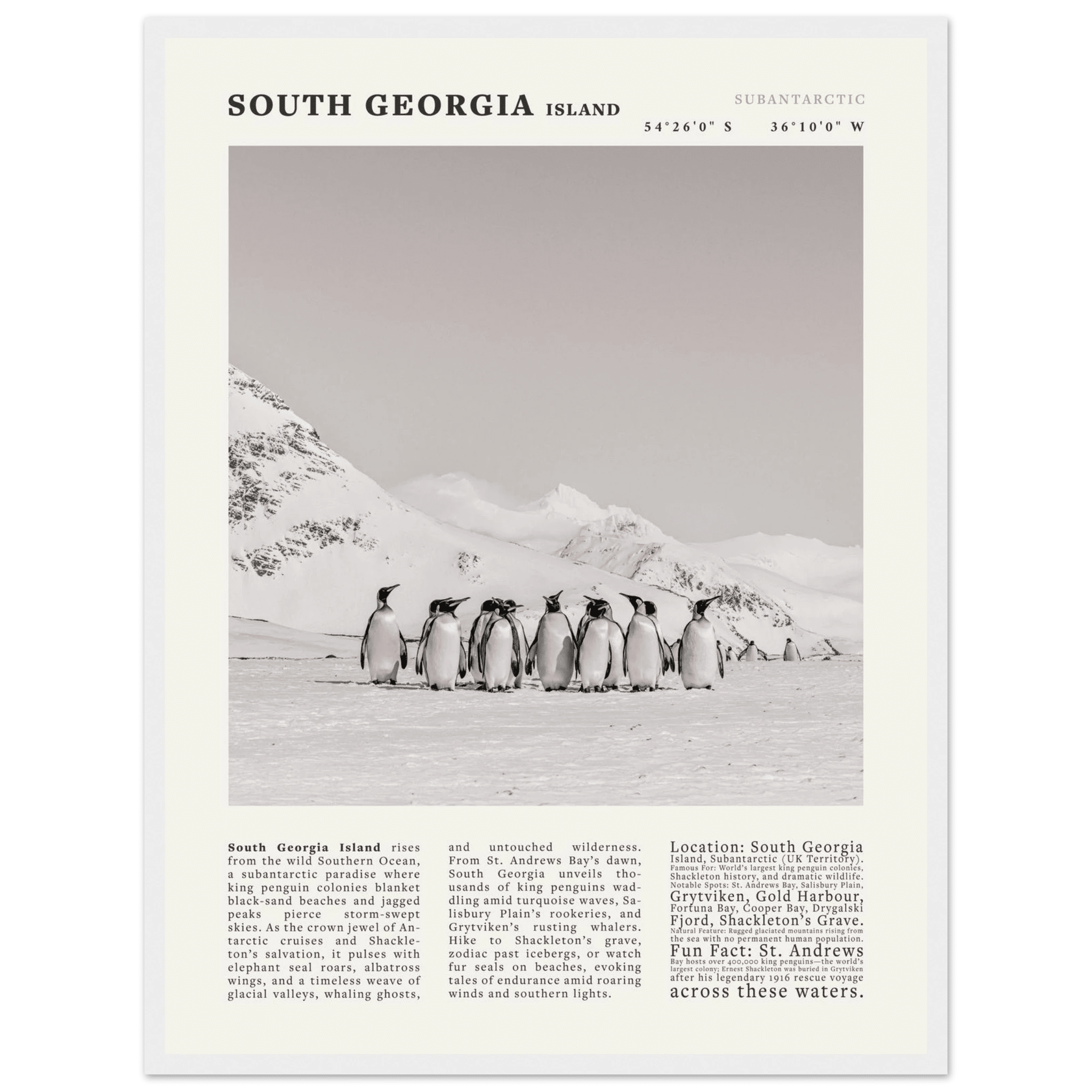 South Georgia Island Black and White Vintage Poster - Evergreen Posters