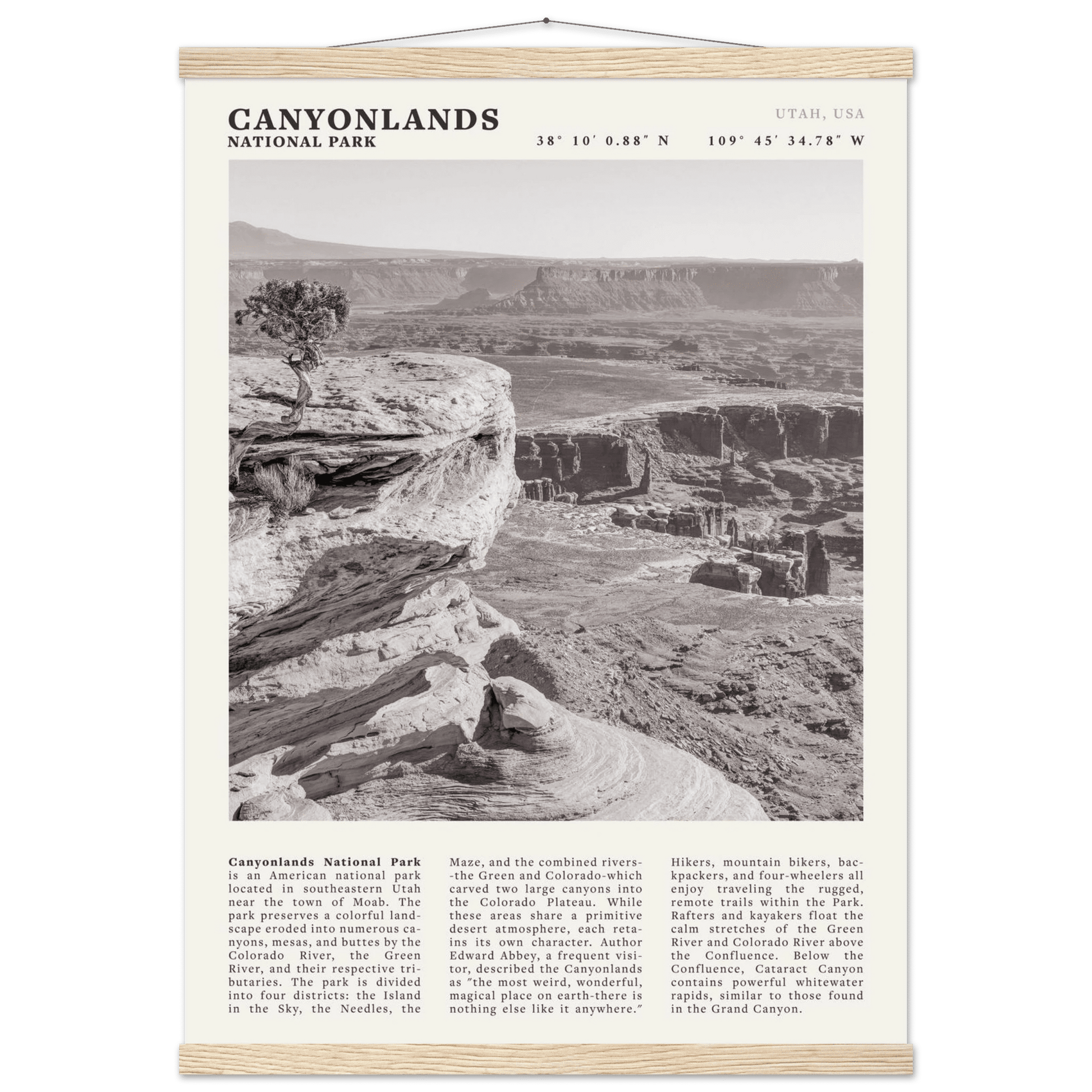 Canyonlands National Park Poster | Black & White Utah Wall Art | Canyon Travel Print - Evergreen Posters