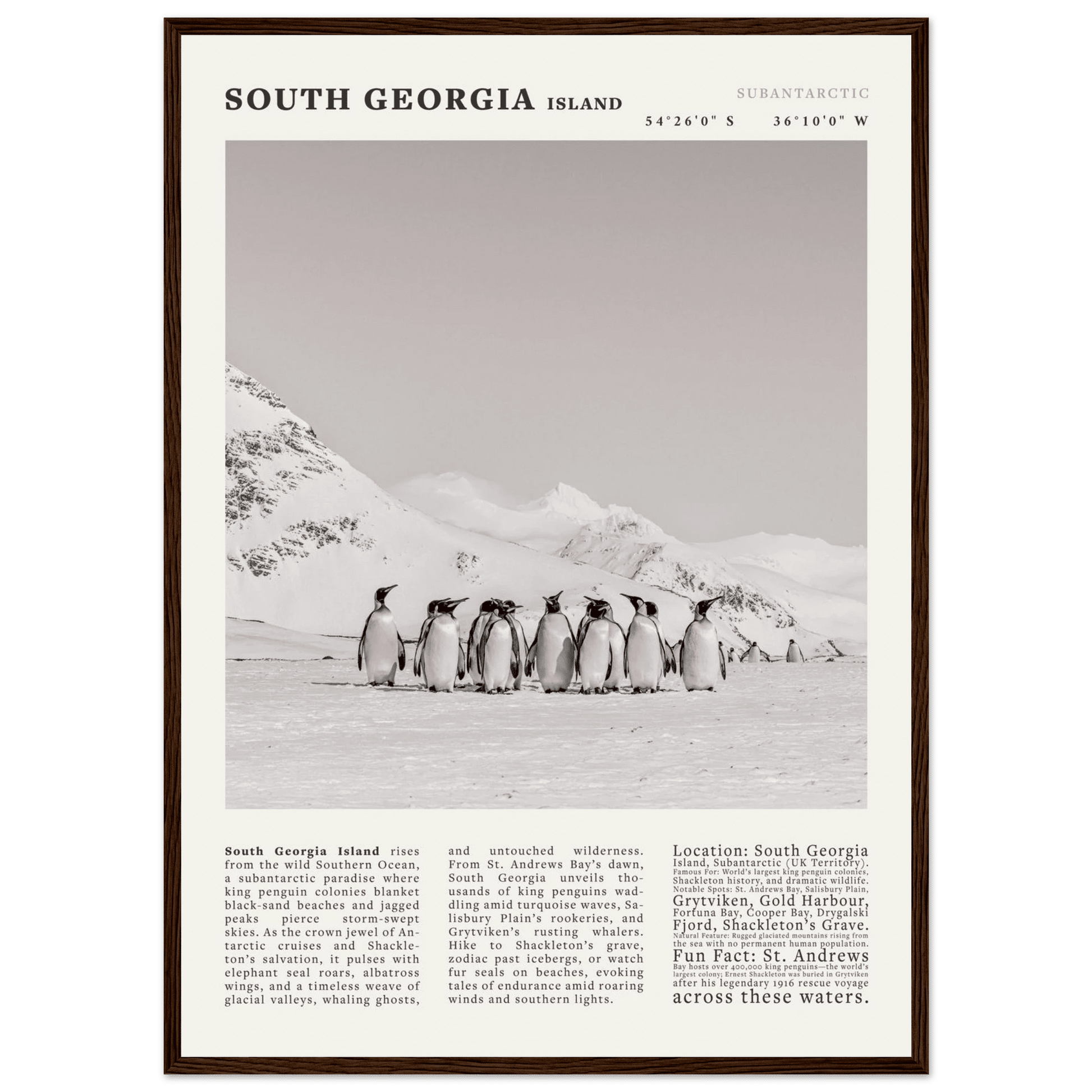 South Georgia Island Black and White Vintage Poster - Evergreen Posters