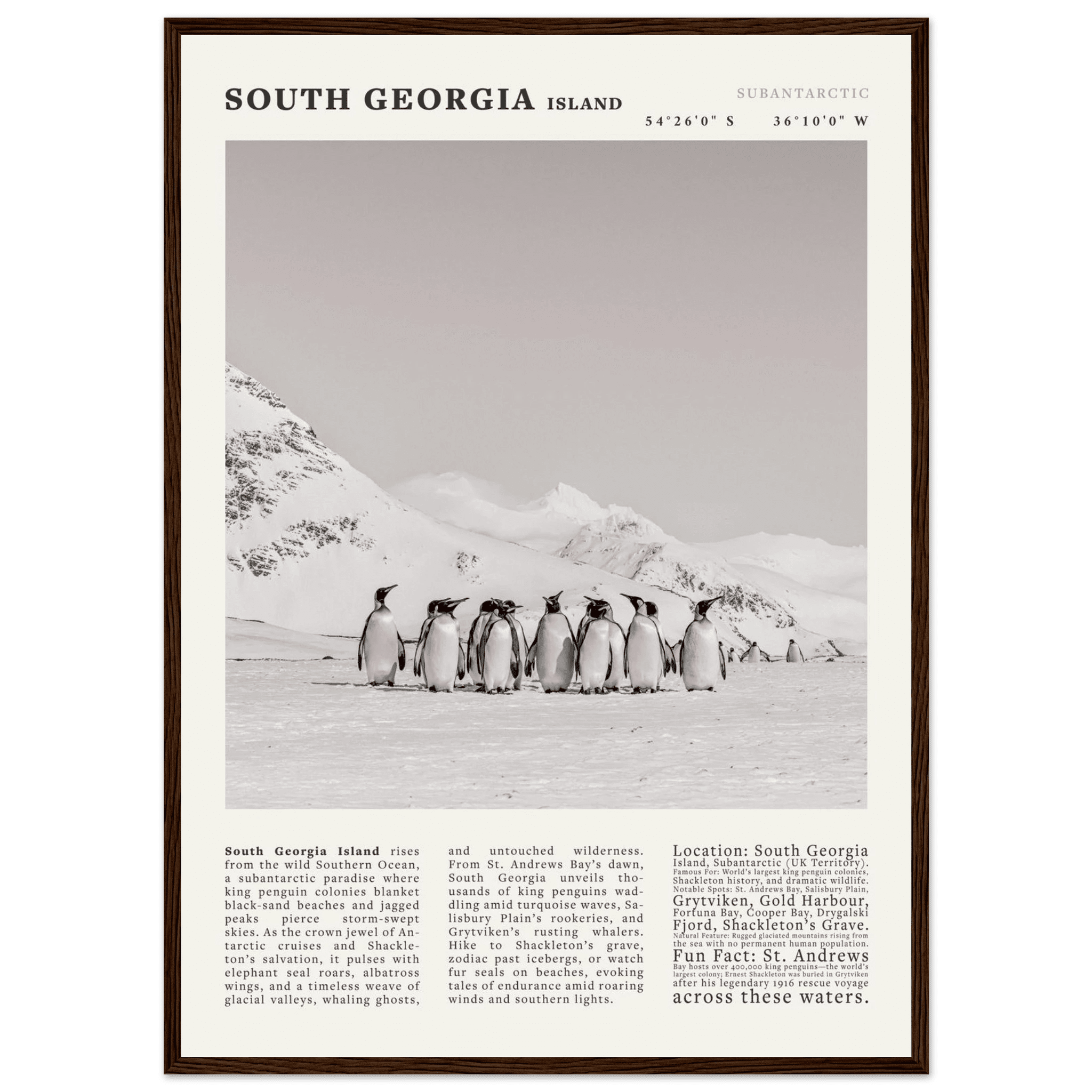 South Georgia Island Black and White Vintage Poster - Evergreen Posters