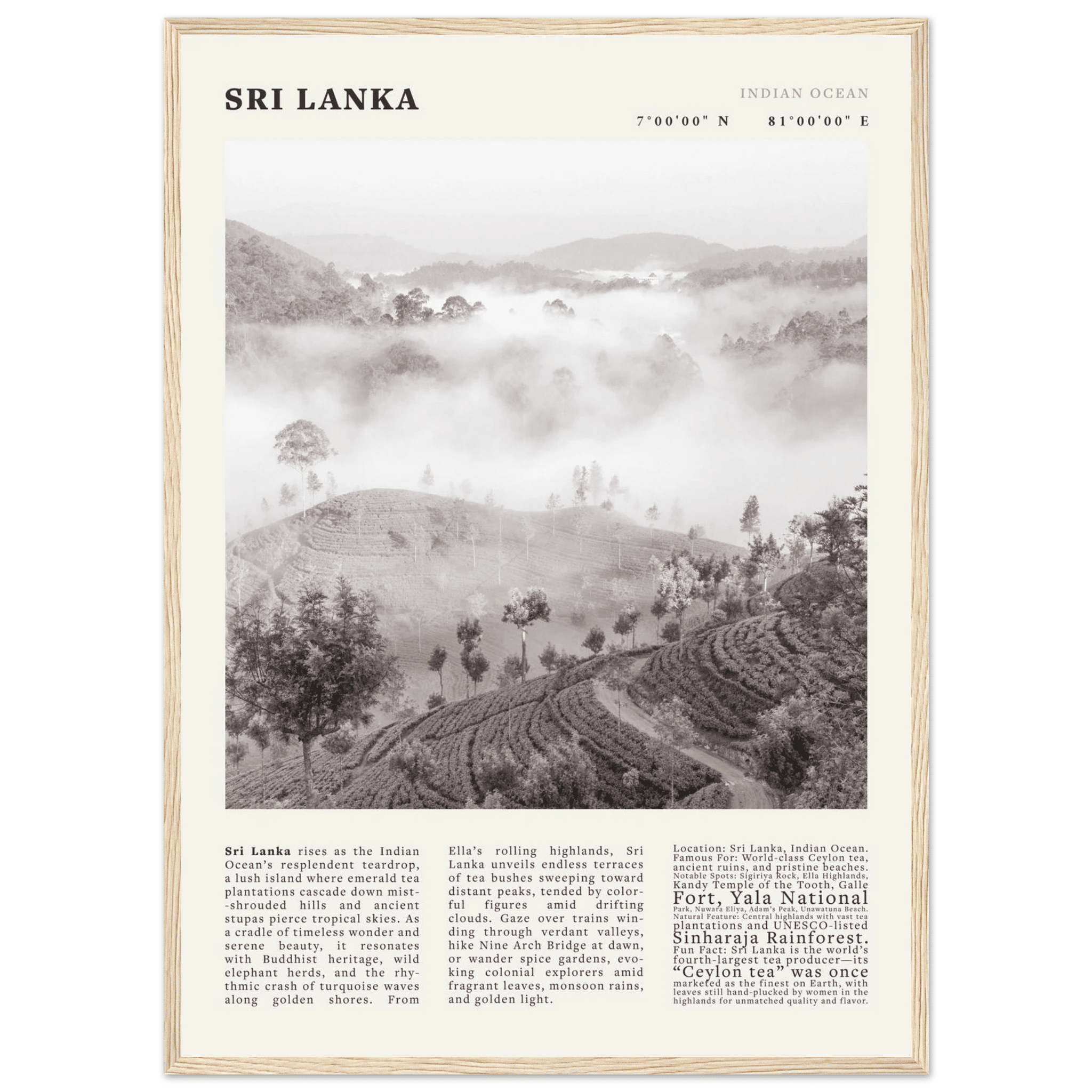 Sri Lanka Poster Black and White – Vintage Ceylon Tea Plantation Print (Digital & Printed Options) - Evergreen Posters