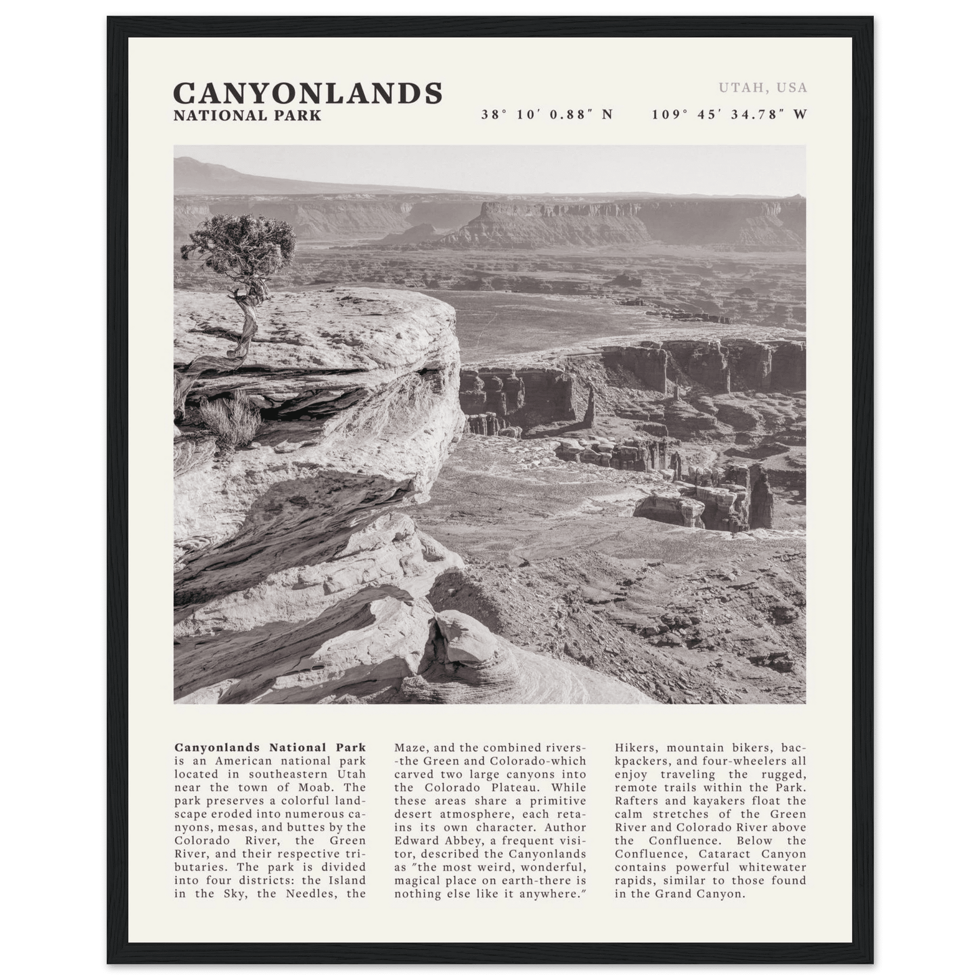 Canyonlands National Park Poster | Black & White Utah Wall Art | Canyon Travel Print - Evergreen Posters