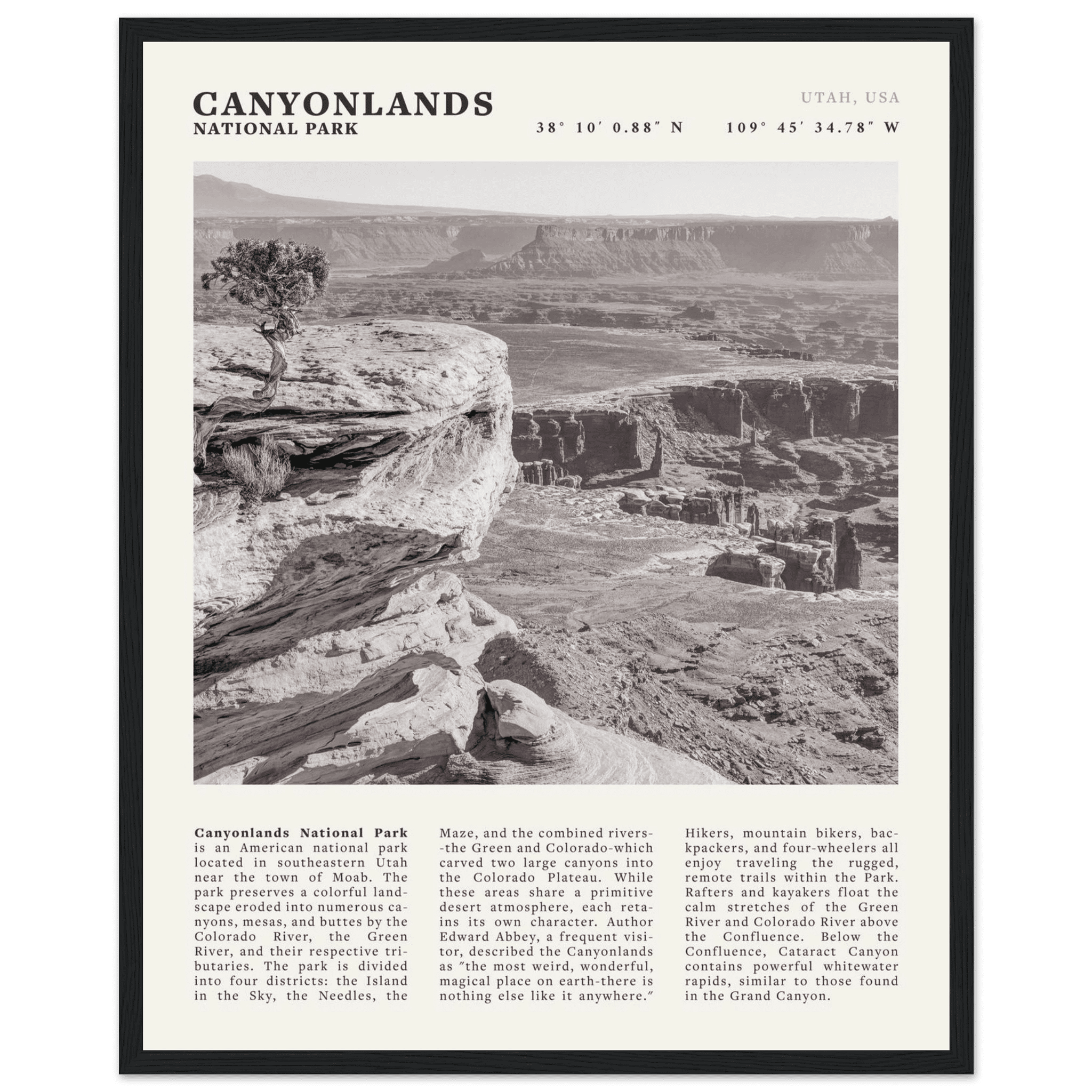 Canyonlands National Park Poster | Black & White Utah Wall Art | Canyon Travel Print - Evergreen Posters
