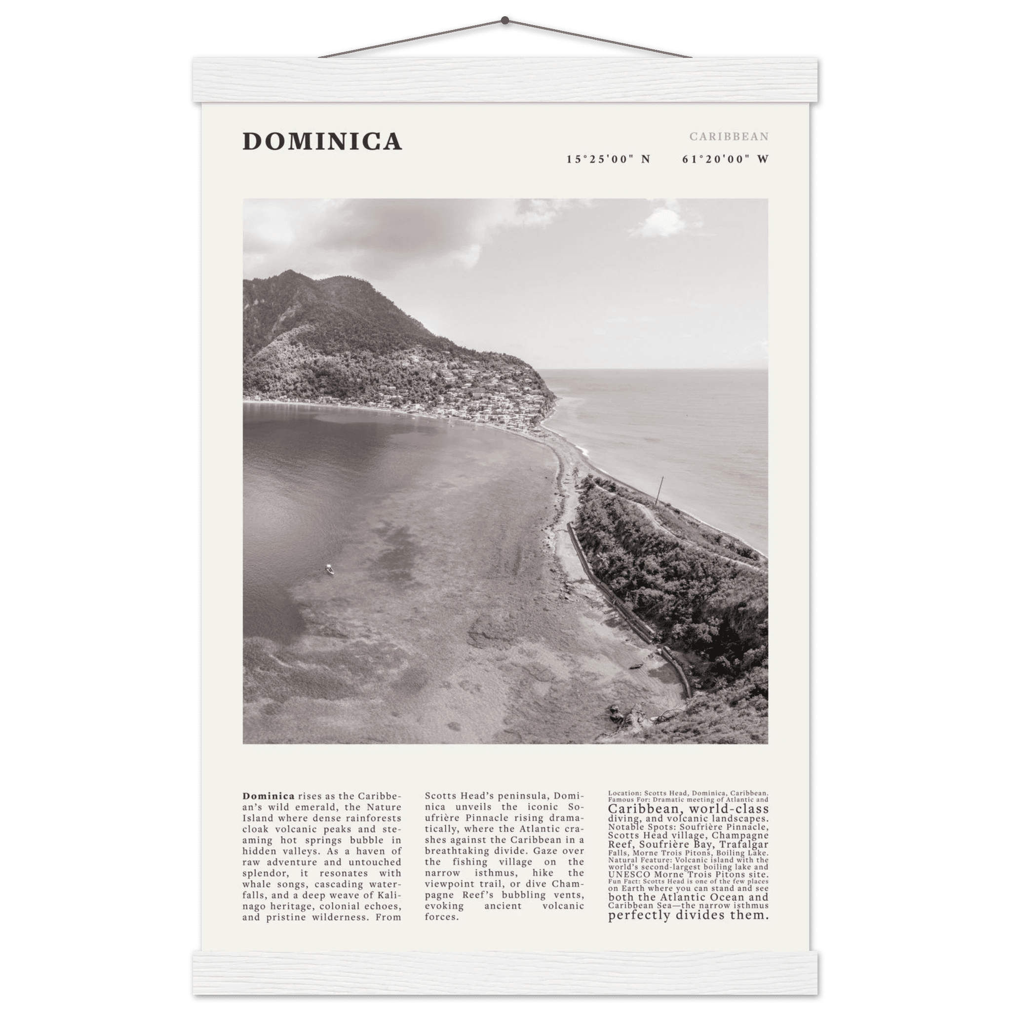 Dominica Poster Black and White – Vintage Caribbean Rainforest Island Print (Digital & Printed Options) - Evergreen Posters