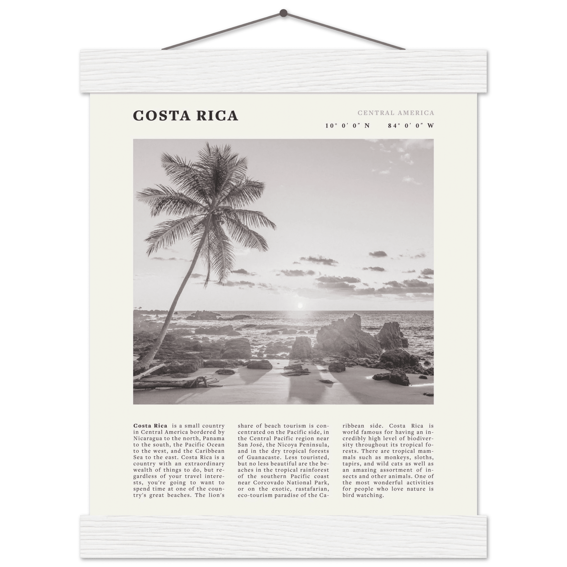 Costa Rica Poster | Black & White Palm Tree Beach Wall Art | Travel Print Decor - Evergreen Posters