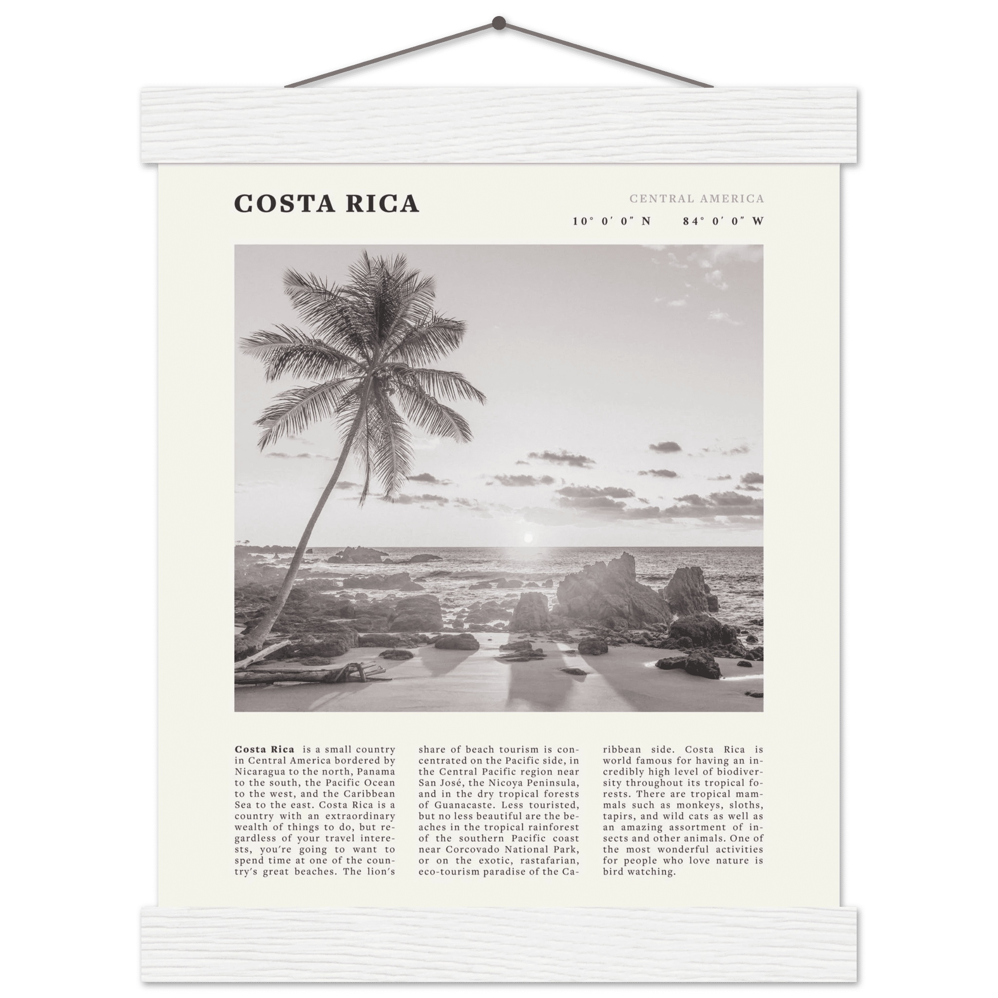 Costa Rica Poster | Black & White Palm Tree Beach Wall Art | Travel Print Decor - Evergreen Posters