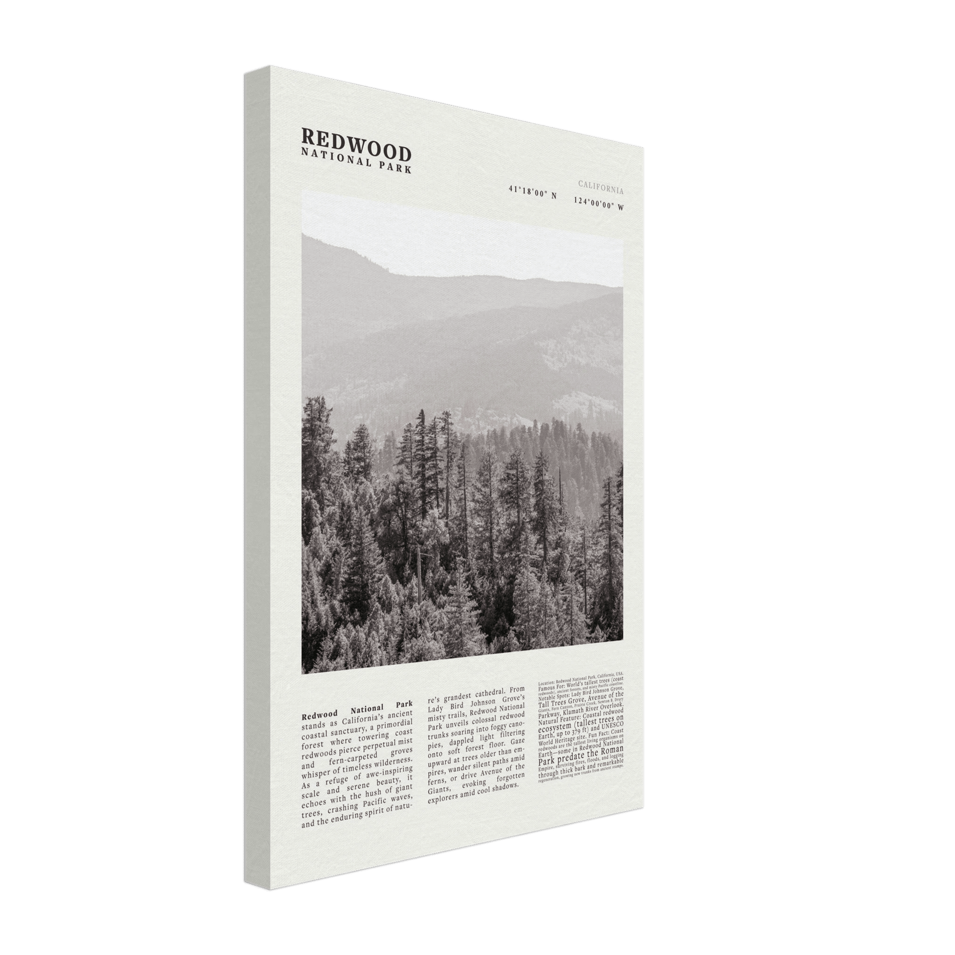 Redwood National Park Poster Black and White – Vintage Foggy Redwood Forest Print - Evergreen Posters