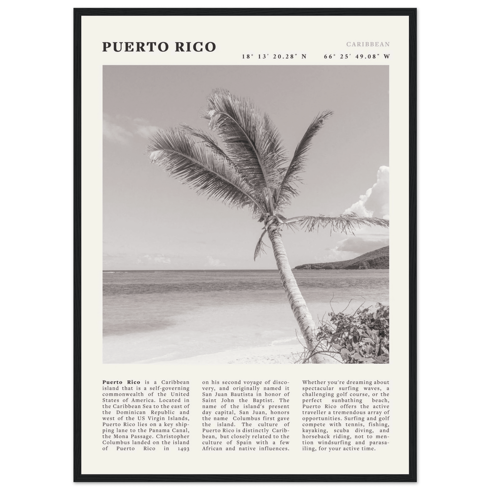 Puerto Rico Poster Black and White – Vintage Caribbean Palm Beach Print (Digital & Printed Options) - Evergreen Posters