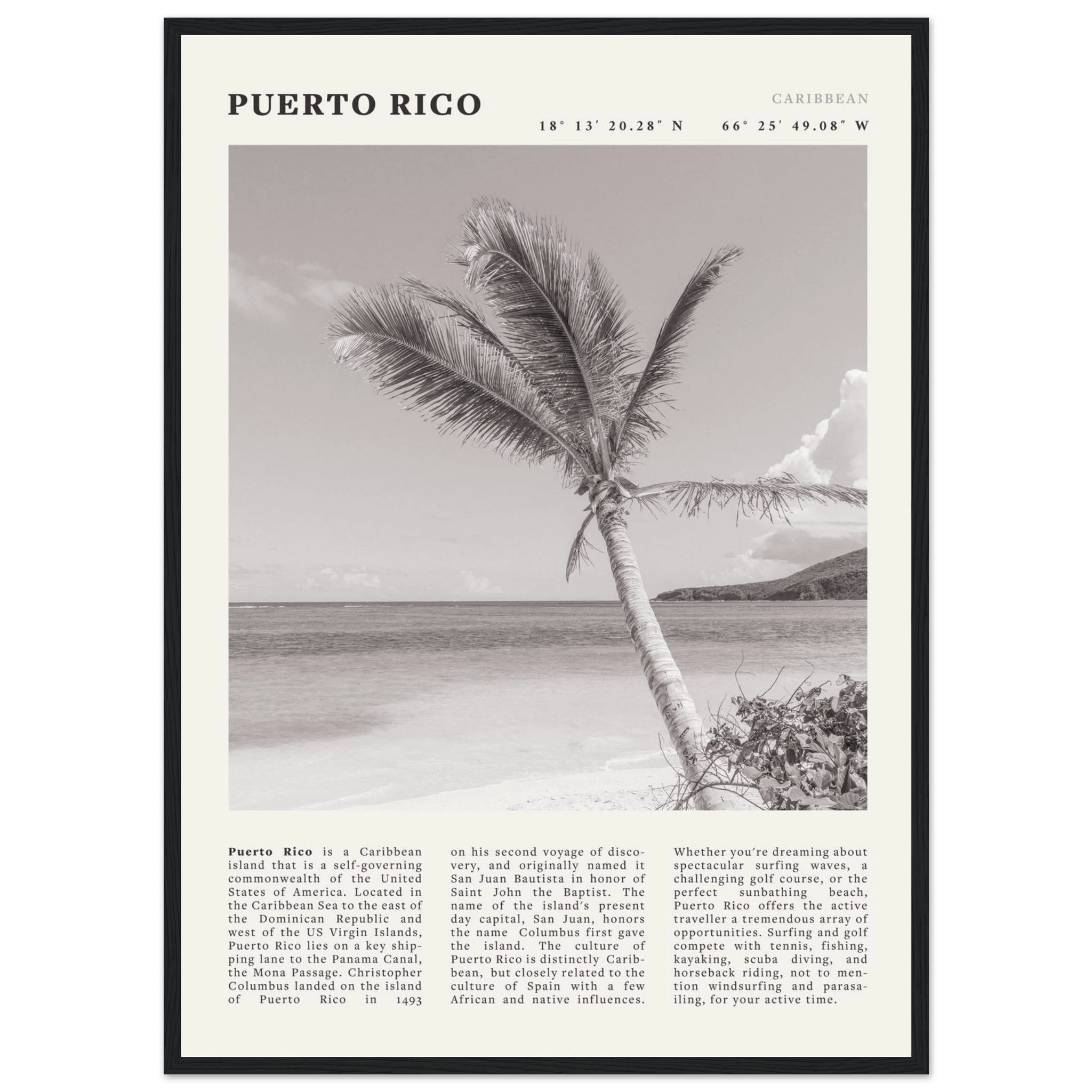 Puerto Rico Poster Black and White – Vintage Caribbean Palm Beach Print (Digital & Printed Options) - Evergreen Posters