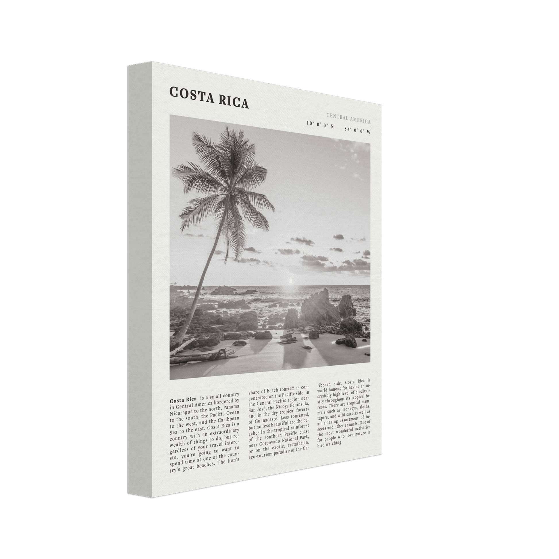 Costa Rica Poster | Black & White Palm Tree Beach Wall Art | Travel Print Decor - Evergreen Posters