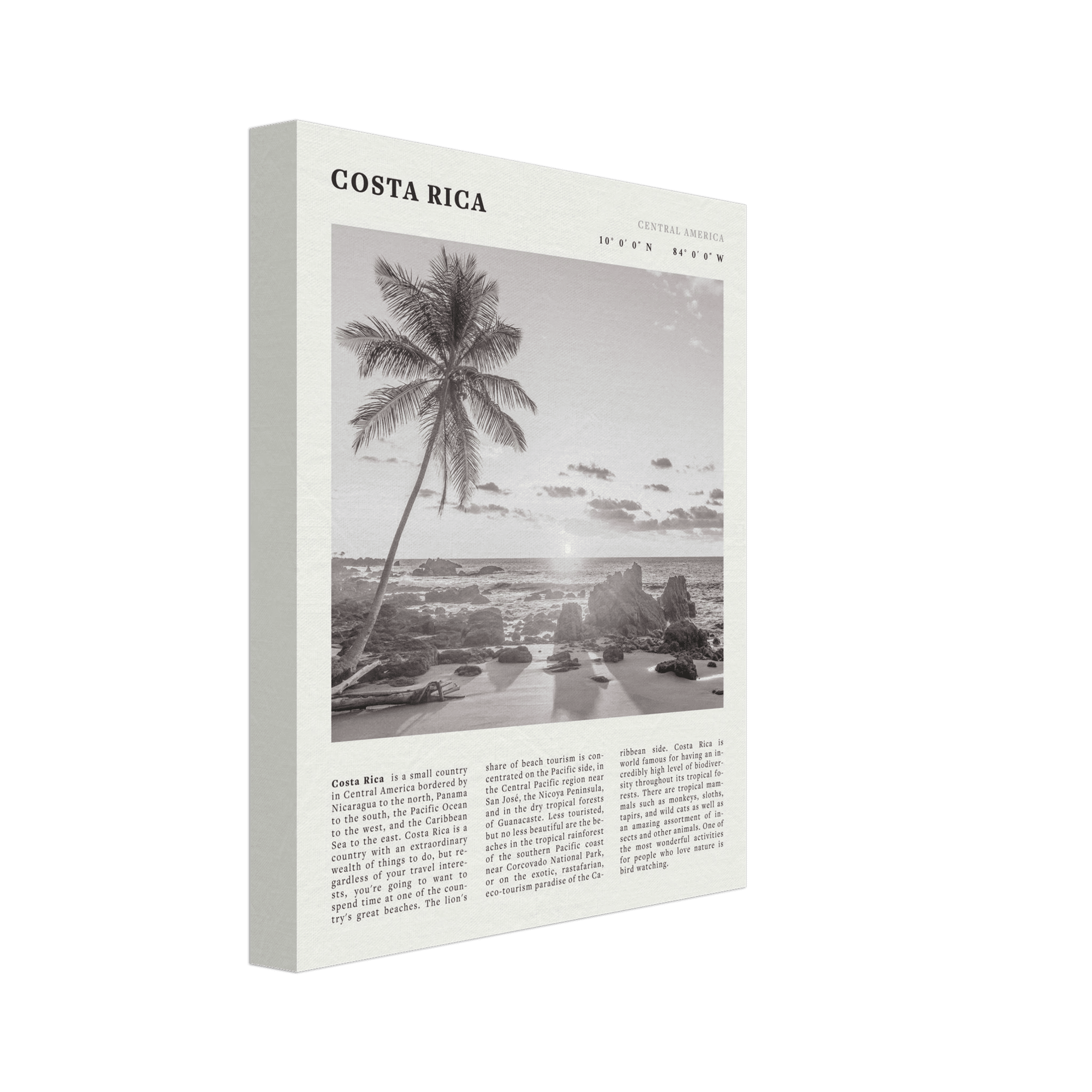 Costa Rica Poster | Black & White Palm Tree Beach Wall Art | Travel Print Decor - Evergreen Posters