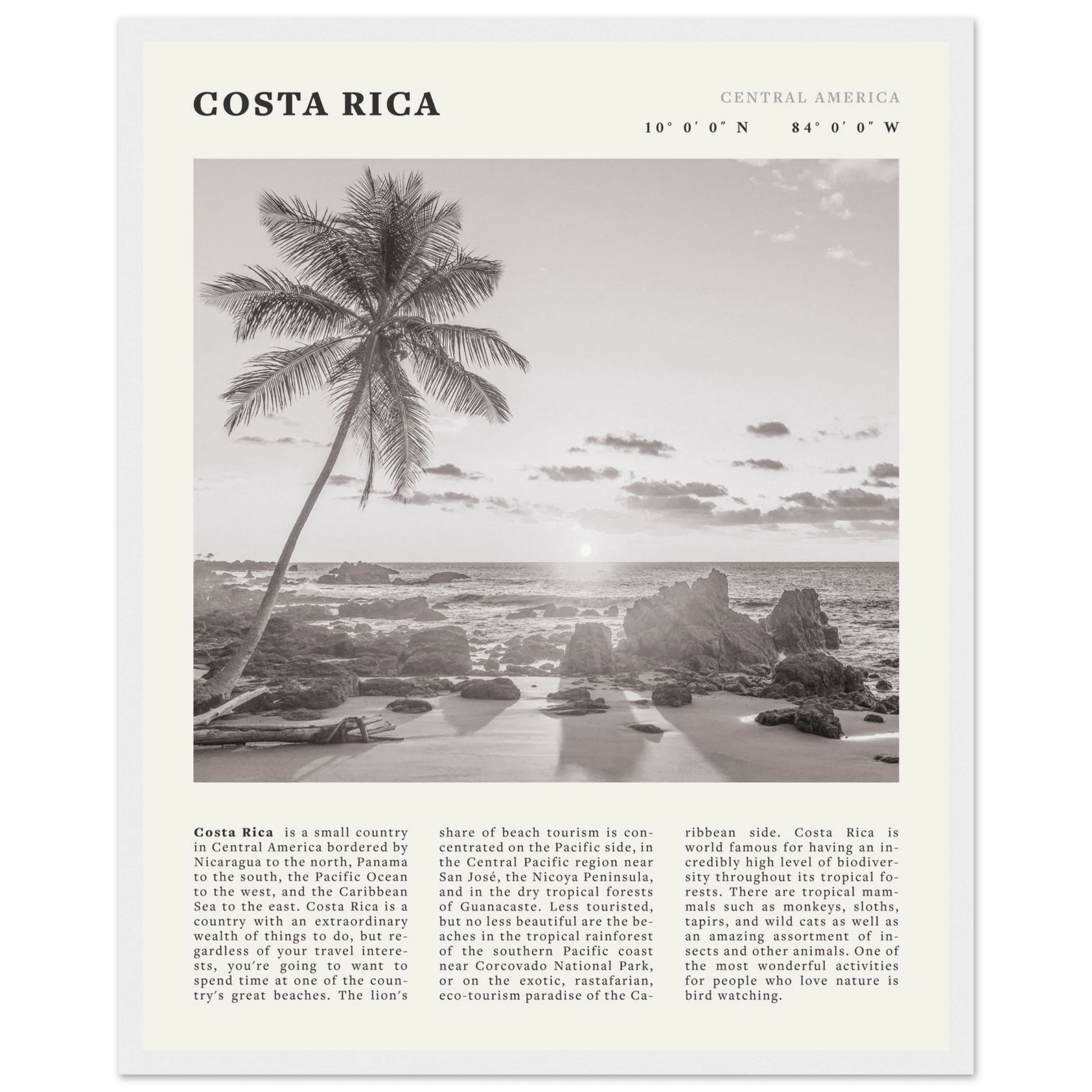 Costa Rica Poster | Black & White Palm Tree Beach Wall Art | Travel Print Decor - Evergreen Posters