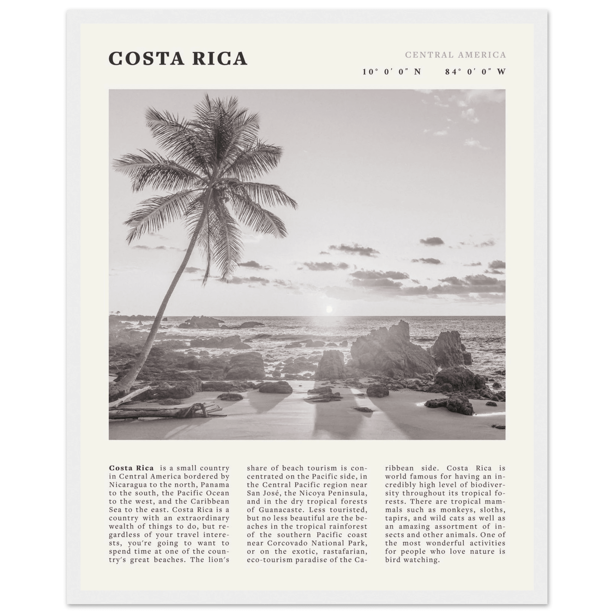 Costa Rica Poster | Black & White Palm Tree Beach Wall Art | Travel Print Decor - Evergreen Posters