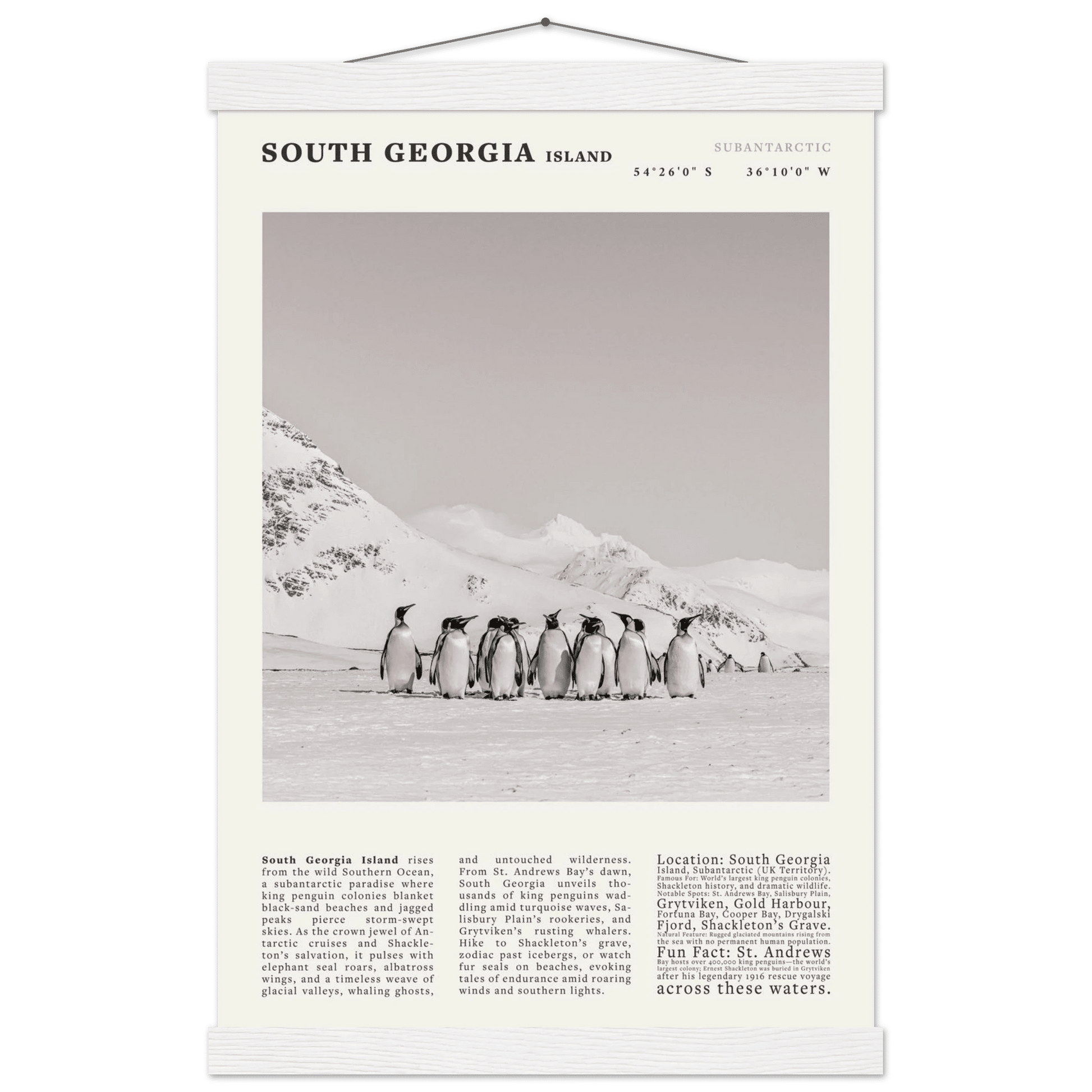 South Georgia Island Black and White Vintage Poster - Evergreen Posters