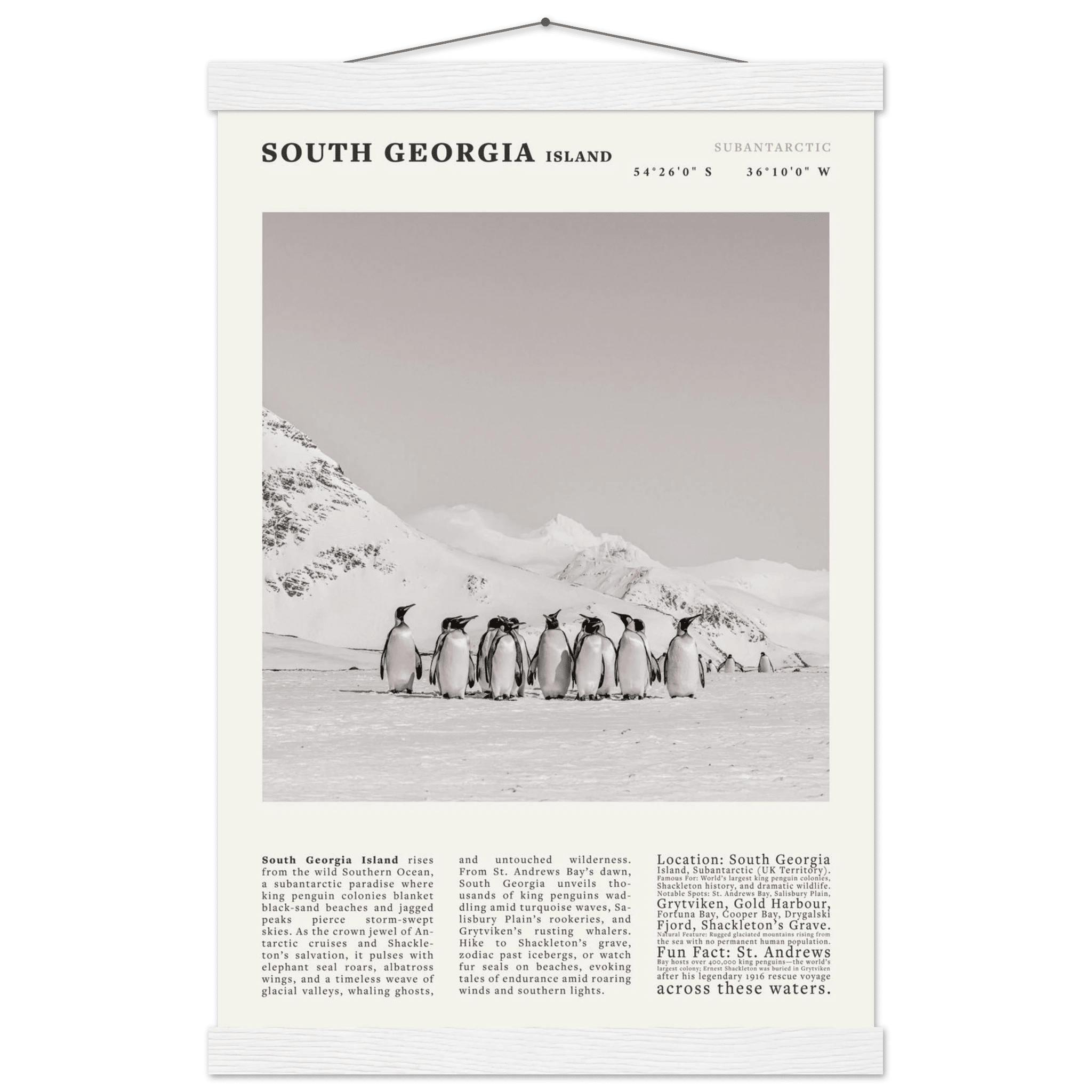 South Georgia Island Black and White Vintage Poster - Evergreen Posters