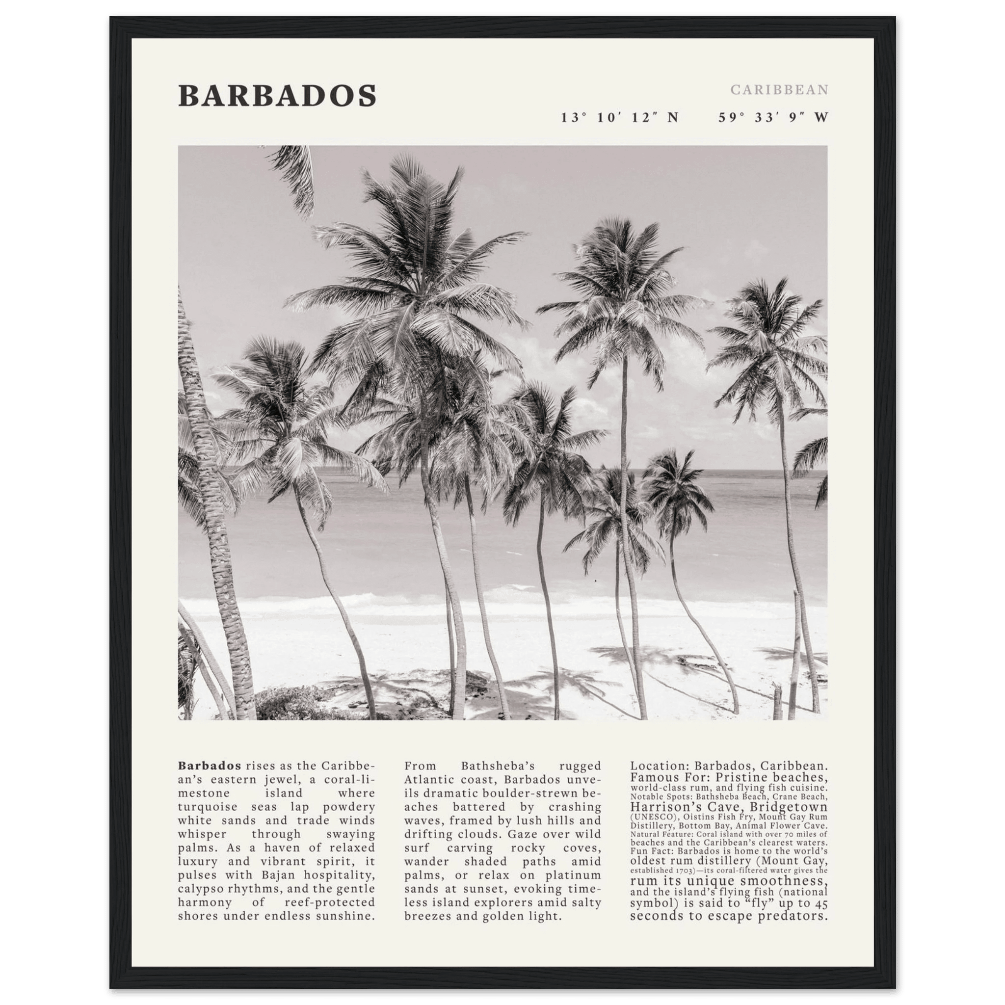 Barbados Poster Black and White – Vintage Caribbean Palm Beach Print (Digital & Printed Options) - Evergreen Posters