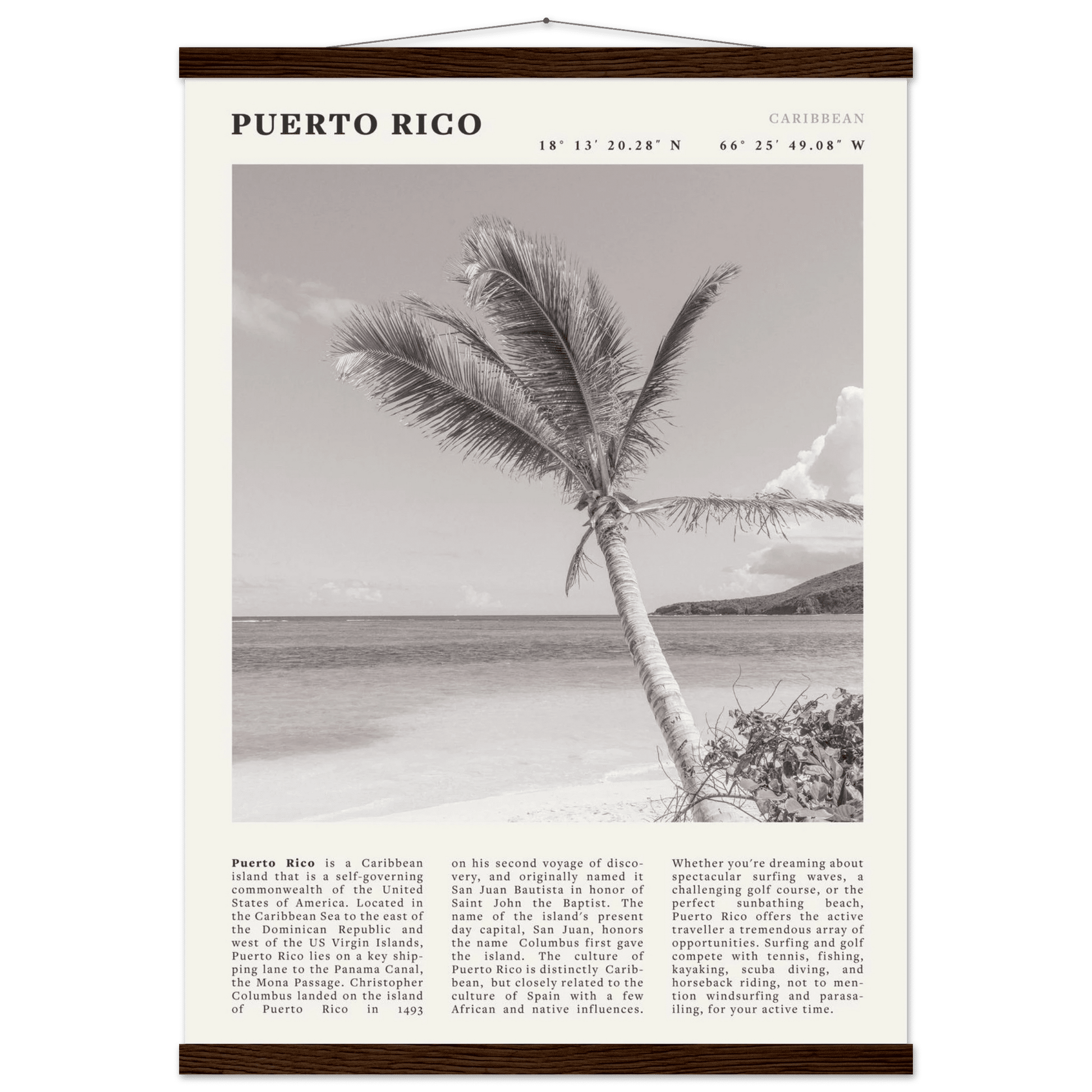 Puerto Rico Poster Black and White – Vintage Caribbean Palm Beach Print (Digital & Printed Options) - Evergreen Posters