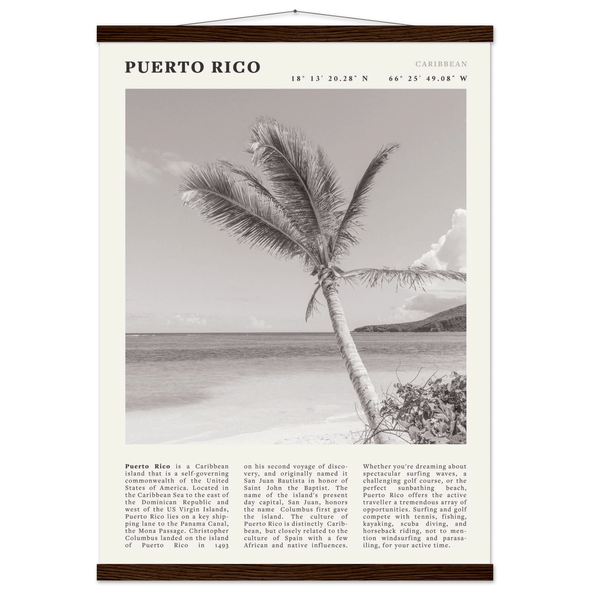 Puerto Rico Poster Black and White – Vintage Caribbean Palm Beach Print (Digital & Printed Options) - Evergreen Posters