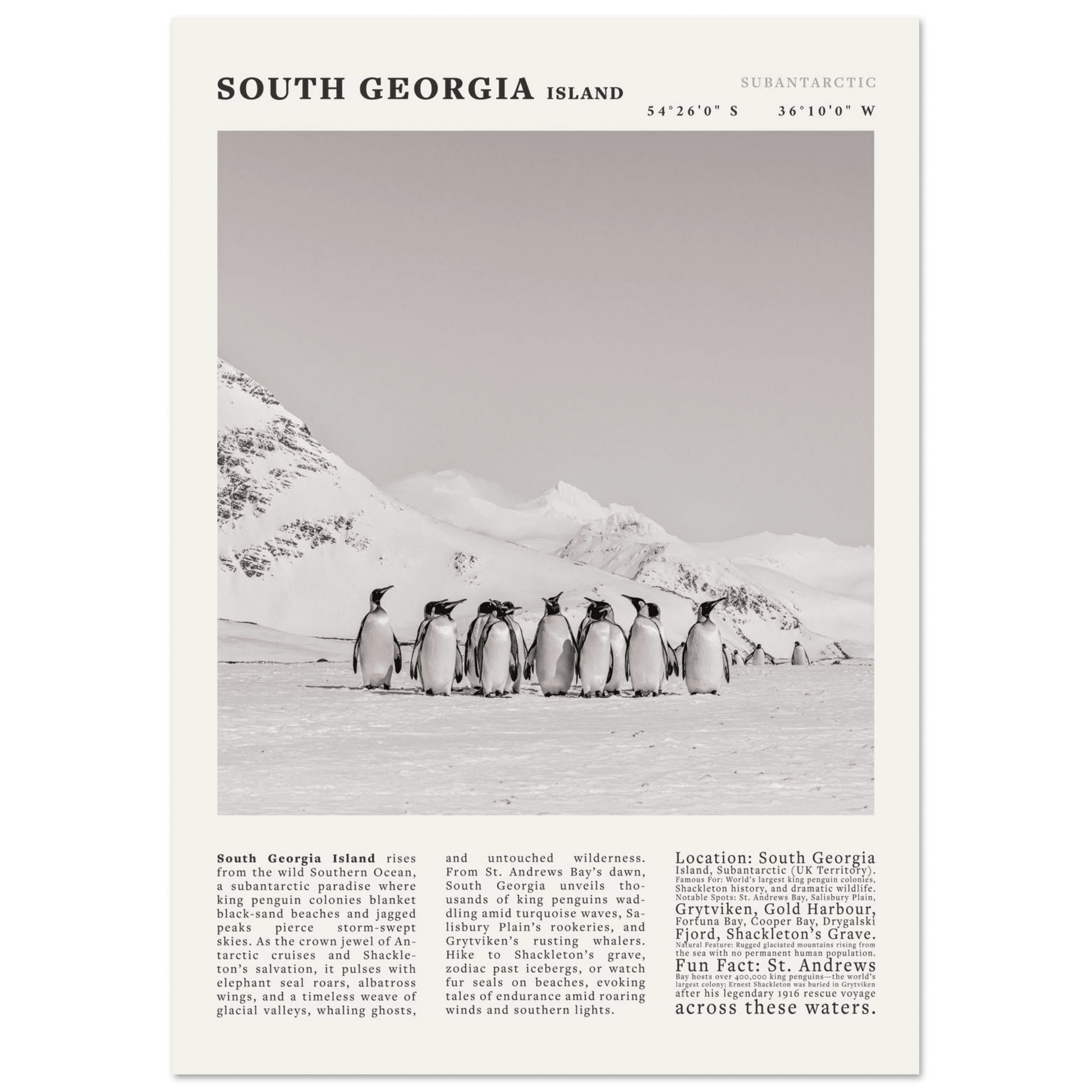 South Georgia Island Black and White Vintage Poster - Evergreen Posters