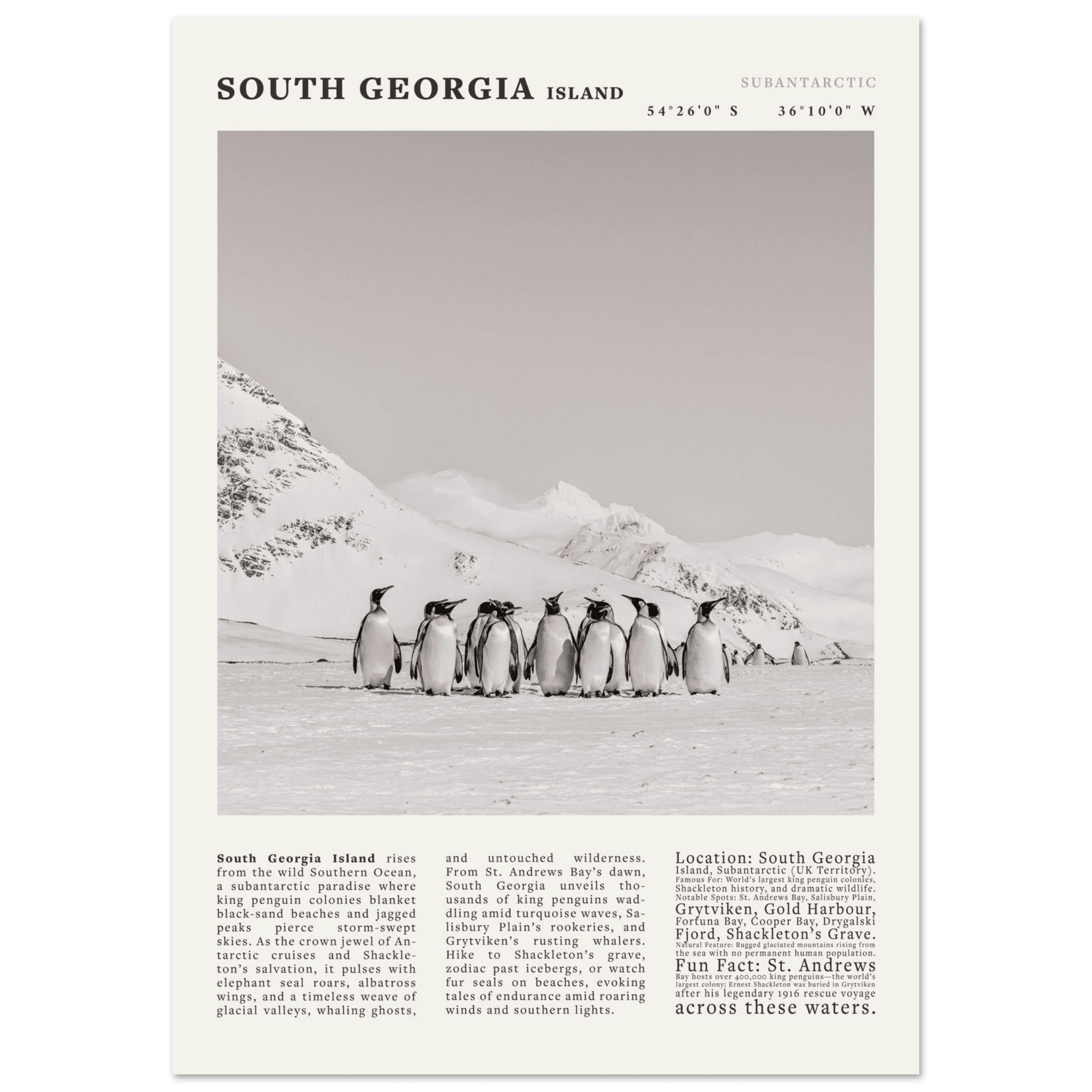 South Georgia Island Black and White Vintage Poster - Evergreen Posters