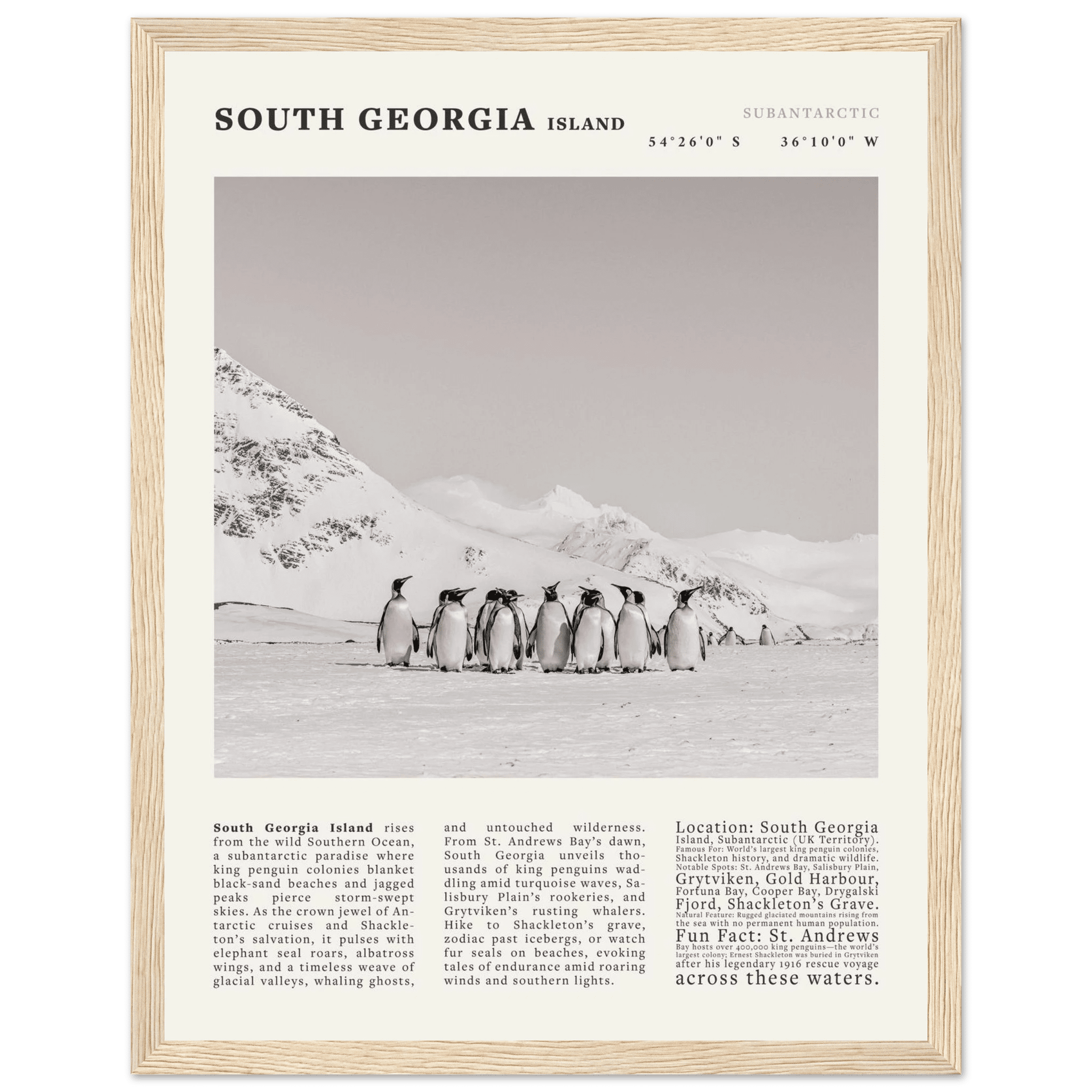 South Georgia Island Black and White Vintage Poster - Evergreen Posters