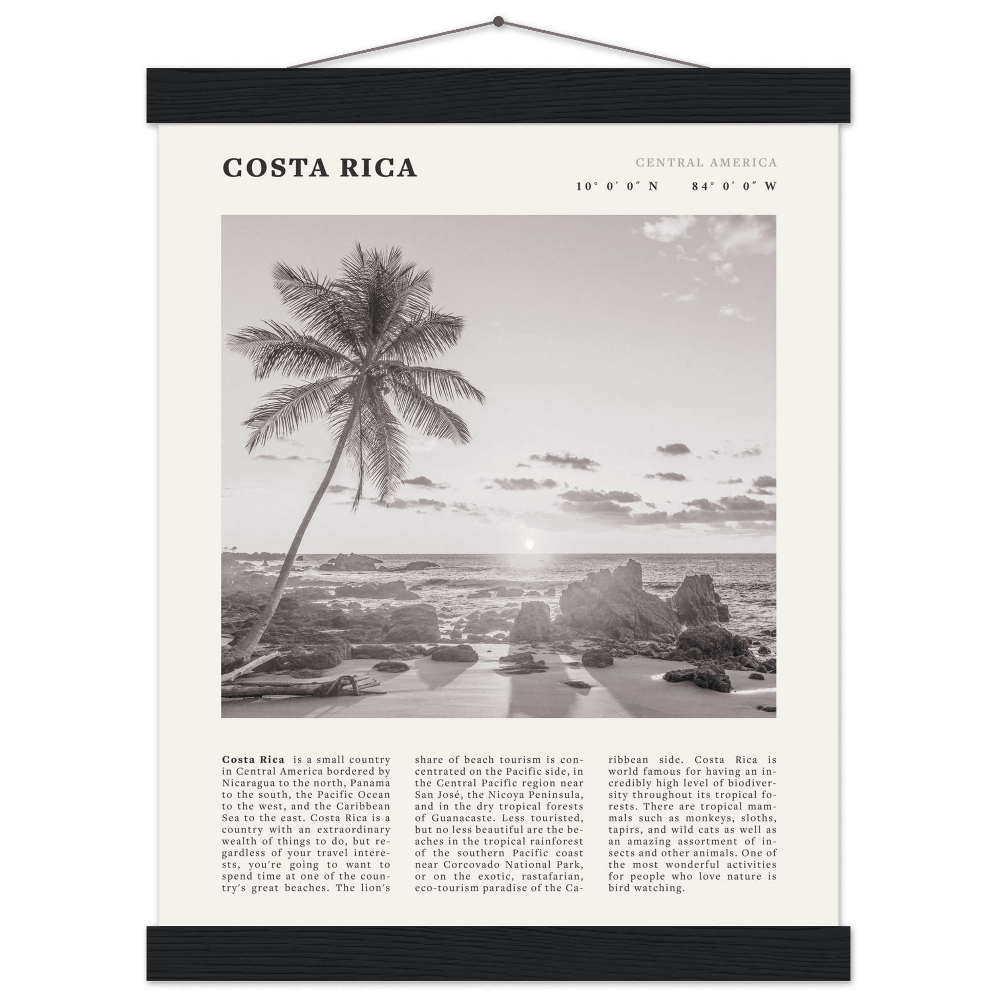 Costa Rica Poster | Black & White Palm Tree Beach Wall Art | Travel Print Decor - Evergreen Posters