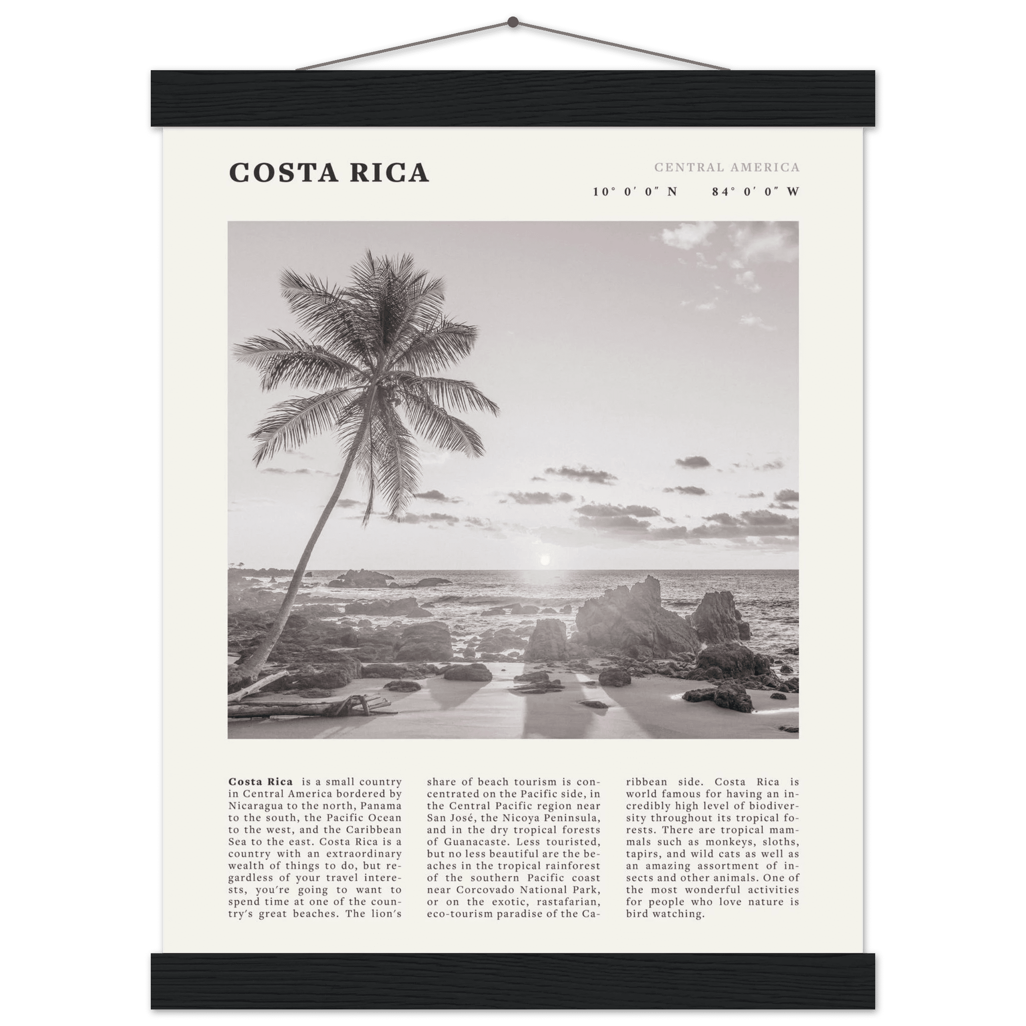 Costa Rica Poster | Black & White Palm Tree Beach Wall Art | Travel Print Decor - Evergreen Posters