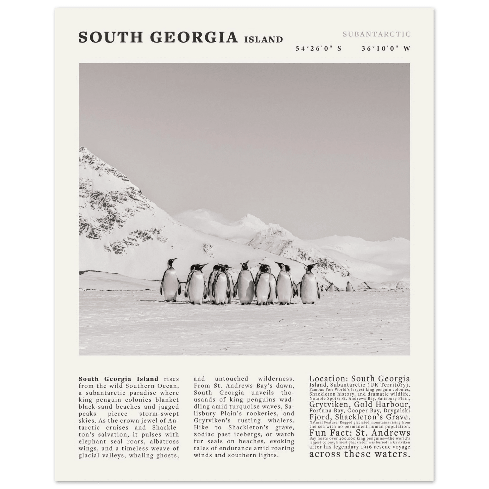 South Georgia Island Black and White Vintage Poster - Evergreen Posters