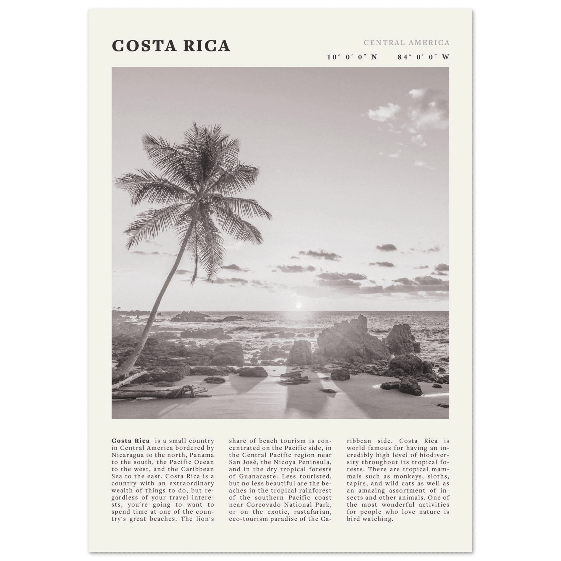 Costa Rica Poster | Black & White Palm Tree Beach Wall Art | Travel Print Decor - Evergreen Posters