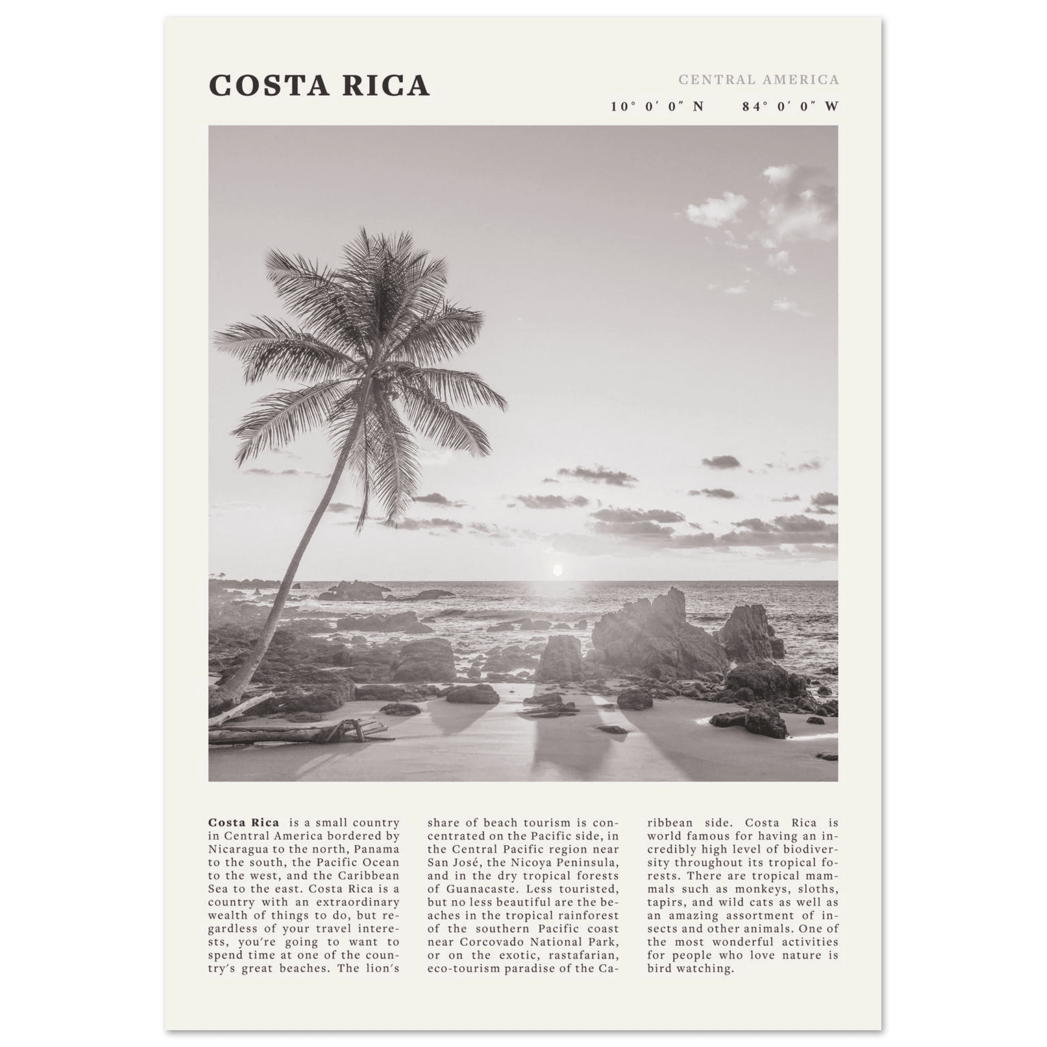 Costa Rica Poster | Black & White Palm Tree Beach Wall Art | Travel Print Decor - Evergreen Posters