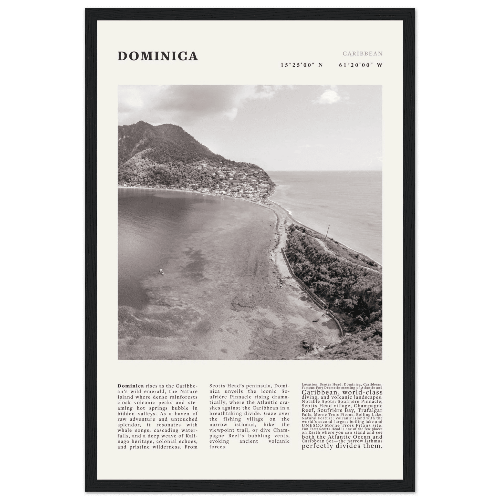 Dominica Poster Black and White – Vintage Caribbean Rainforest Island Print (Digital & Printed Options) - Evergreen Posters