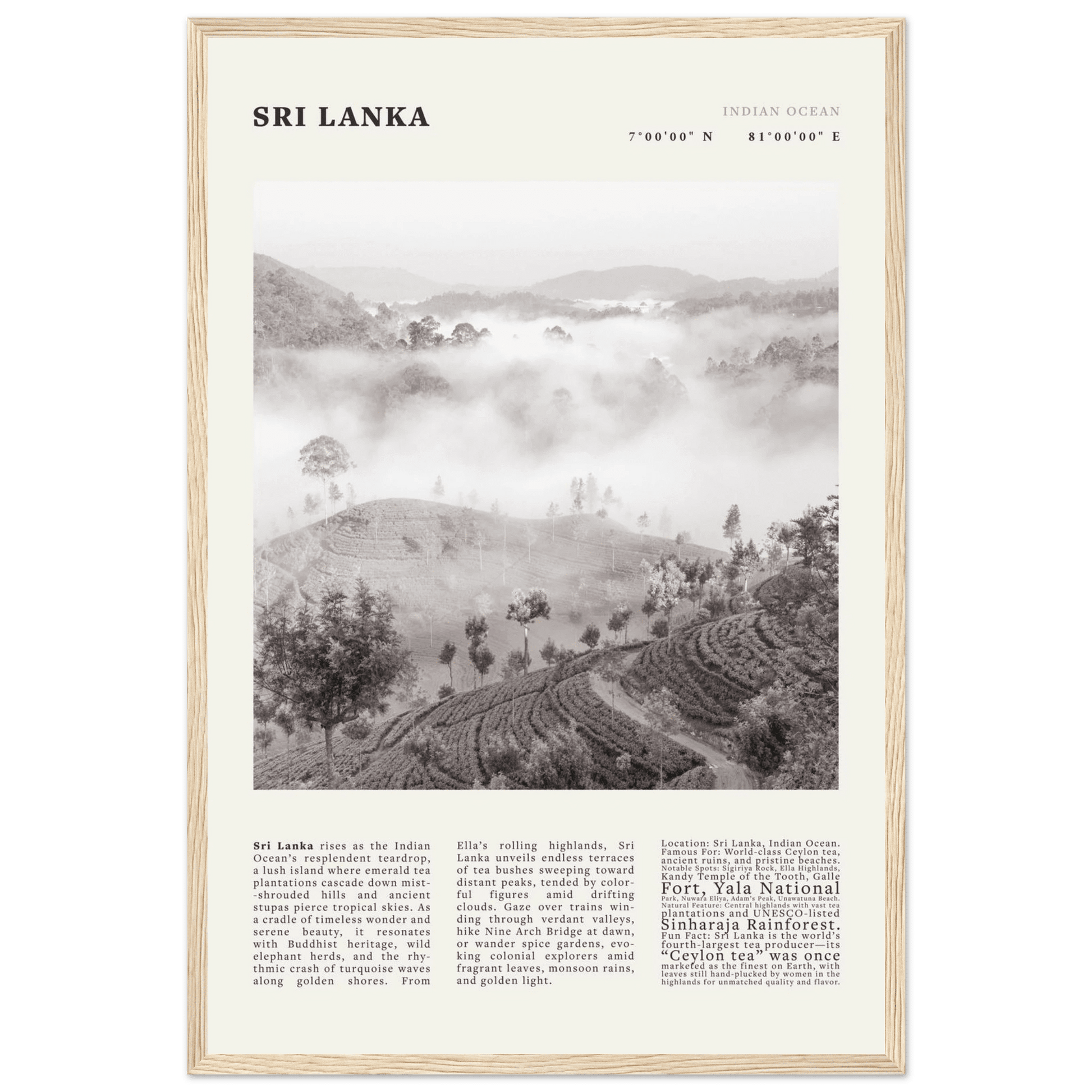 Sri Lanka Poster Black and White – Vintage Ceylon Tea Plantation Print (Digital & Printed Options) - Evergreen Posters